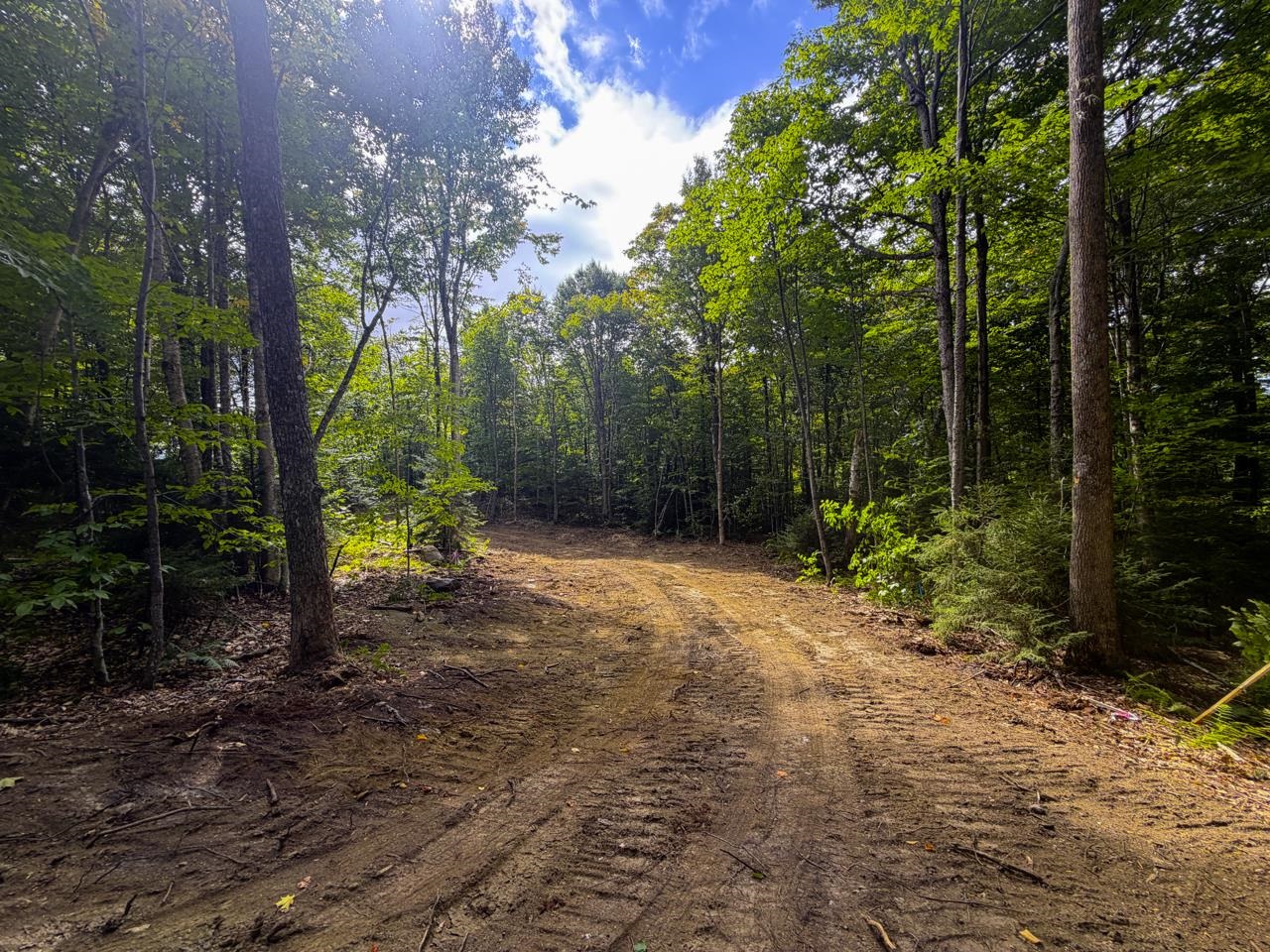 main property photo 55