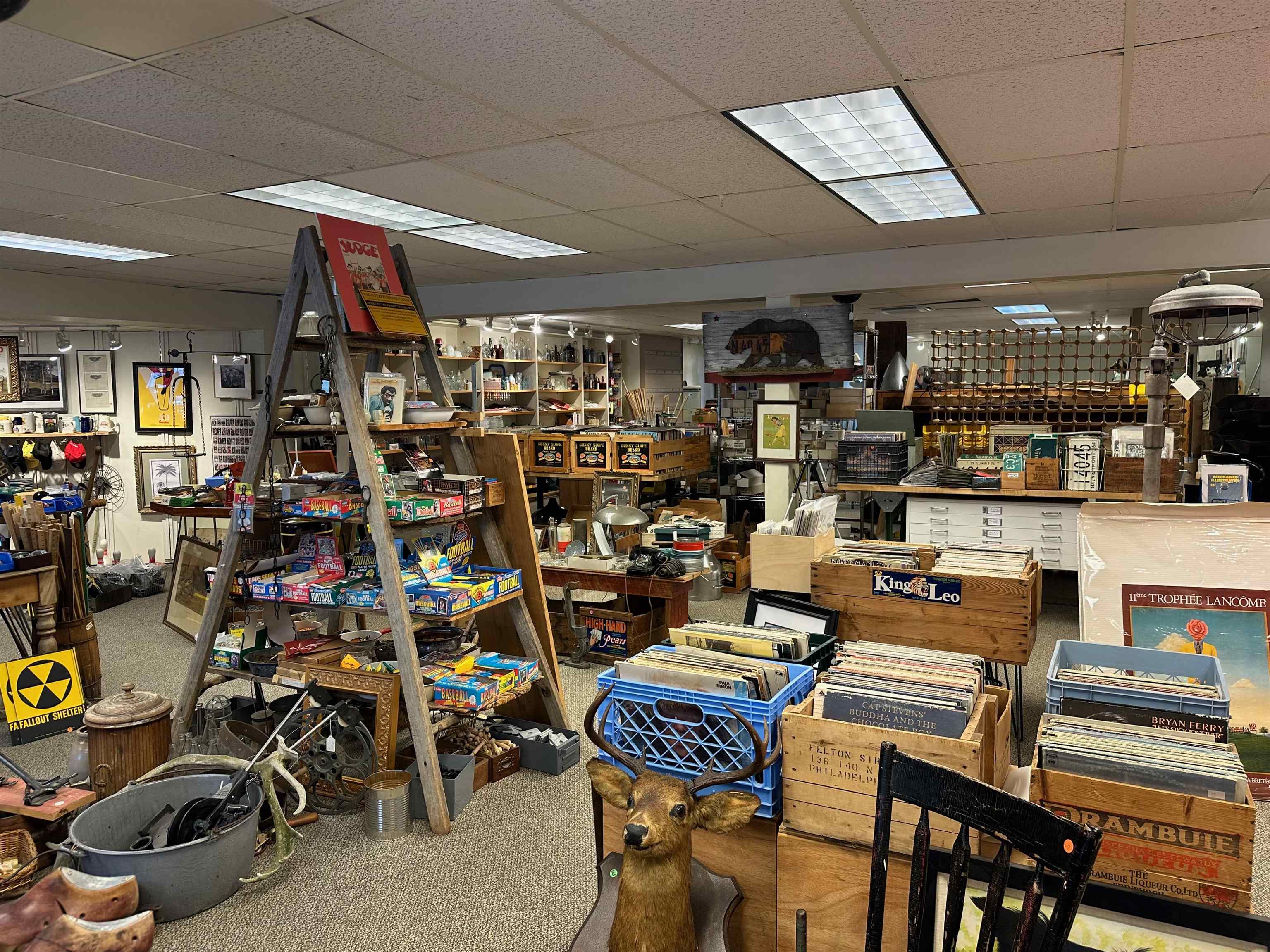 main property photo 10