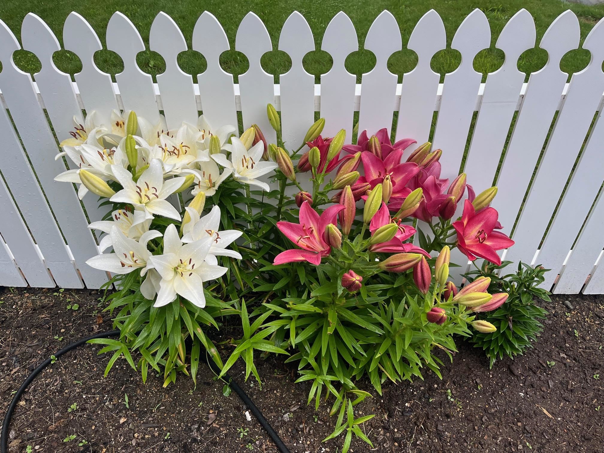 property viewer photo 10