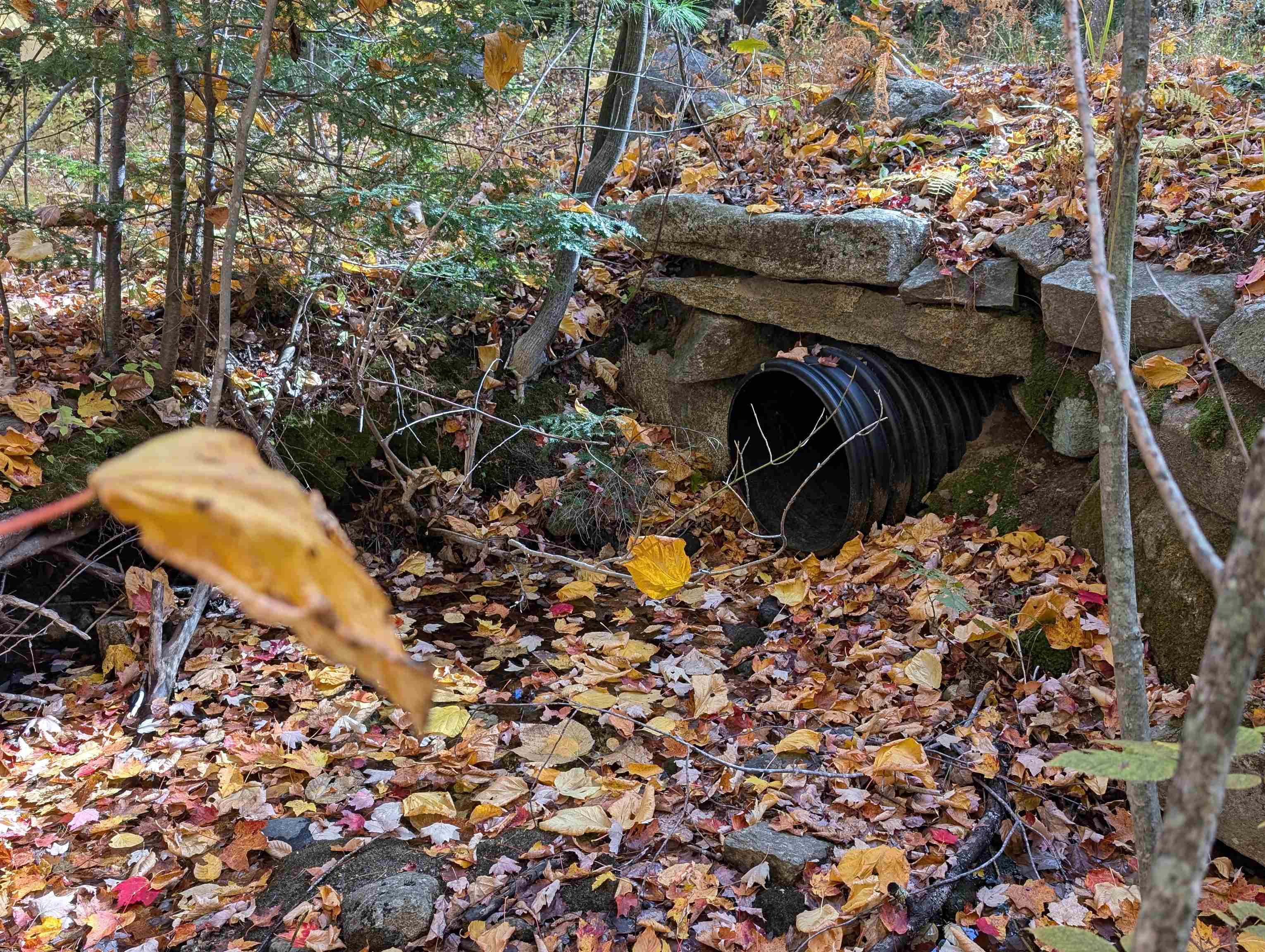 main property photo 10