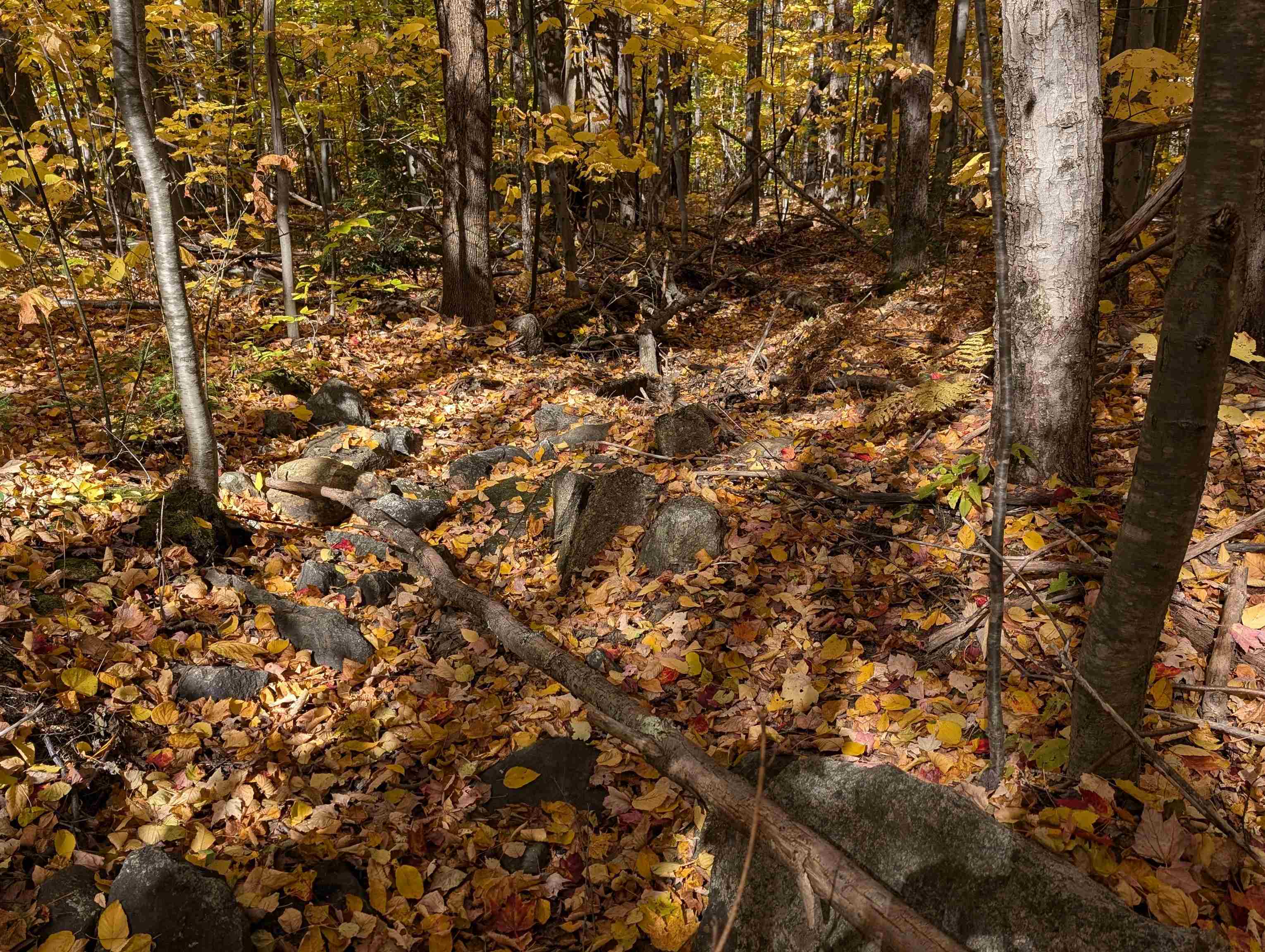 main property photo 12