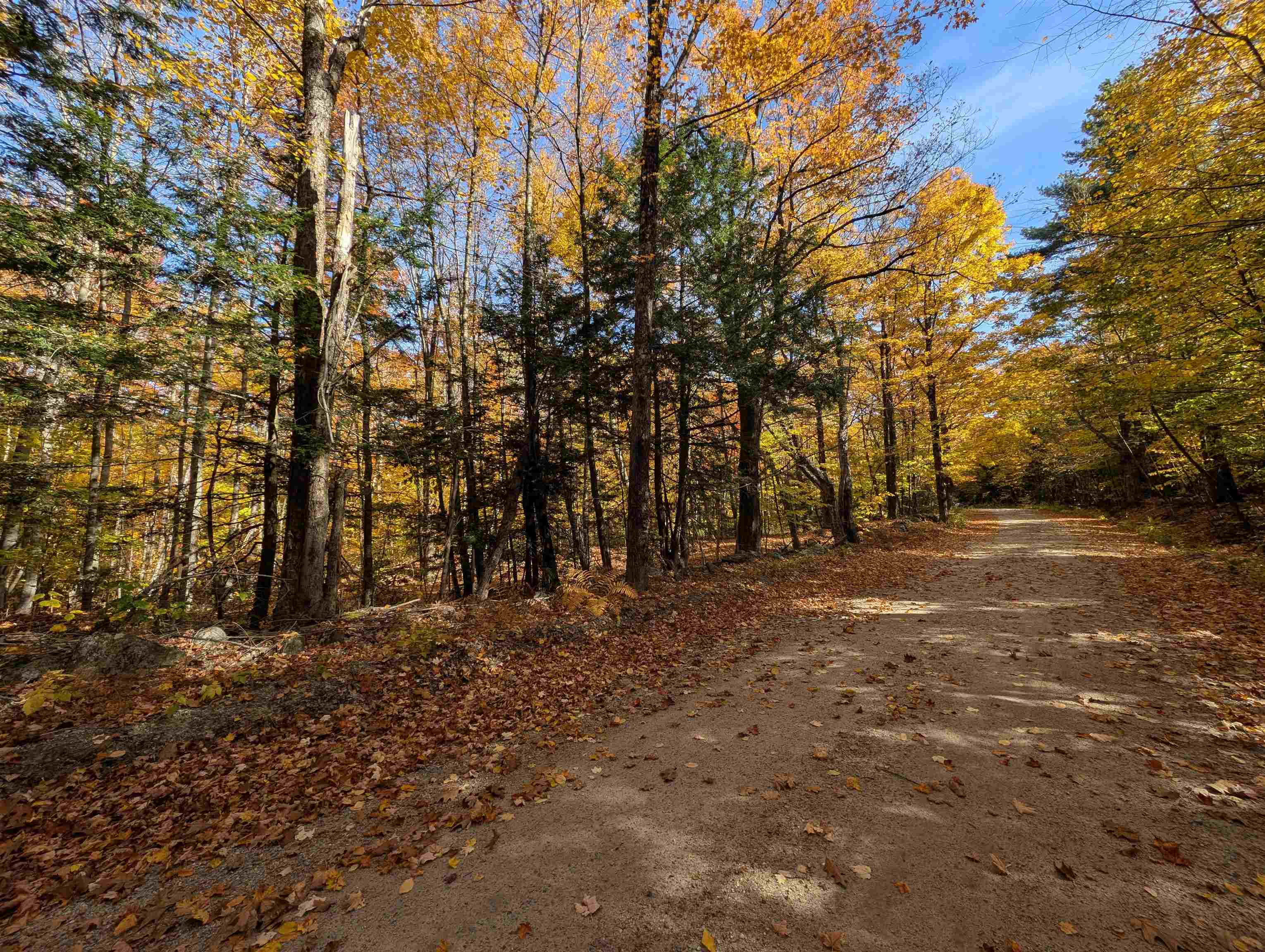 main property photo 14