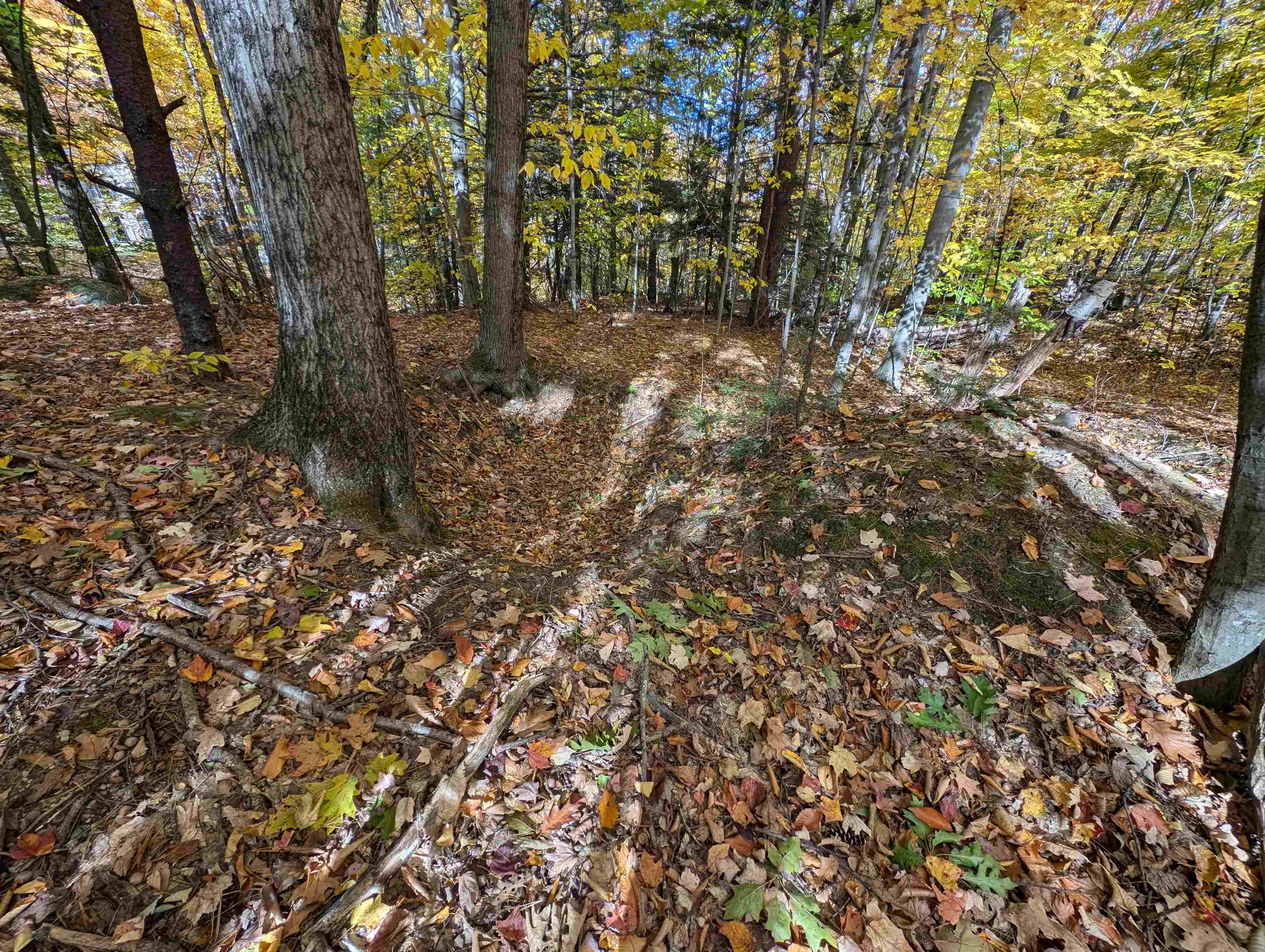 main property photo 17
