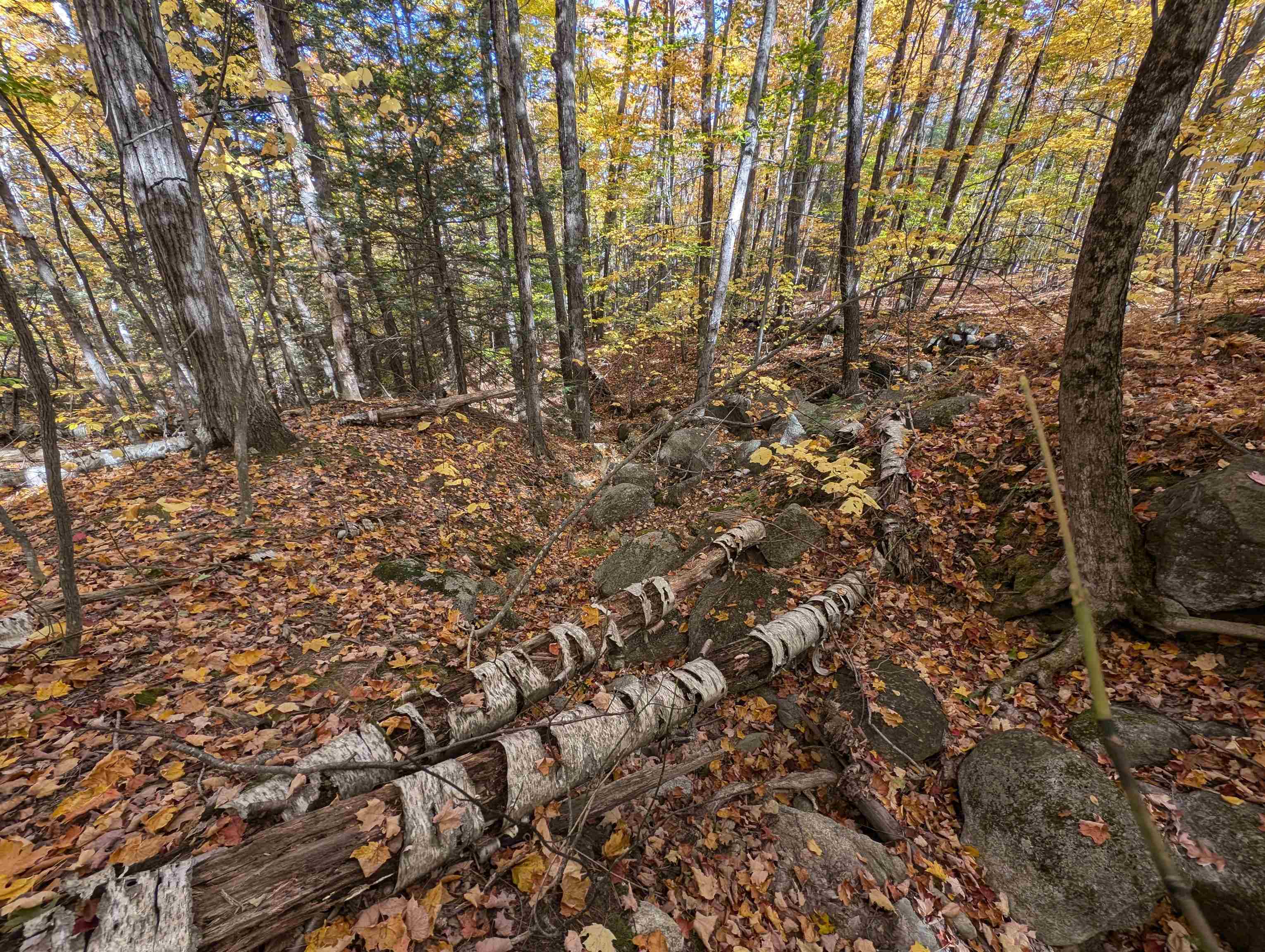 main property photo 19