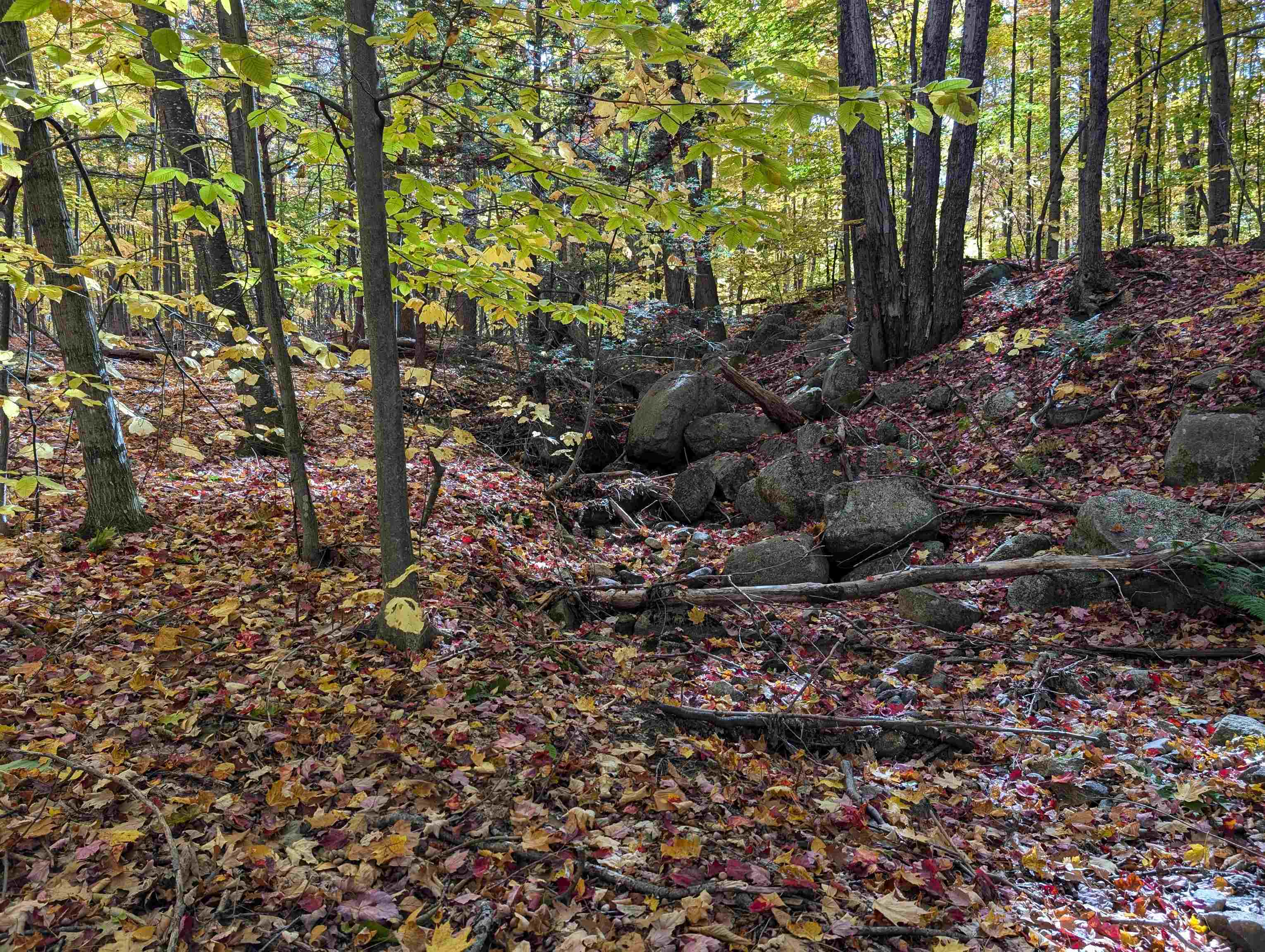 main property photo 20