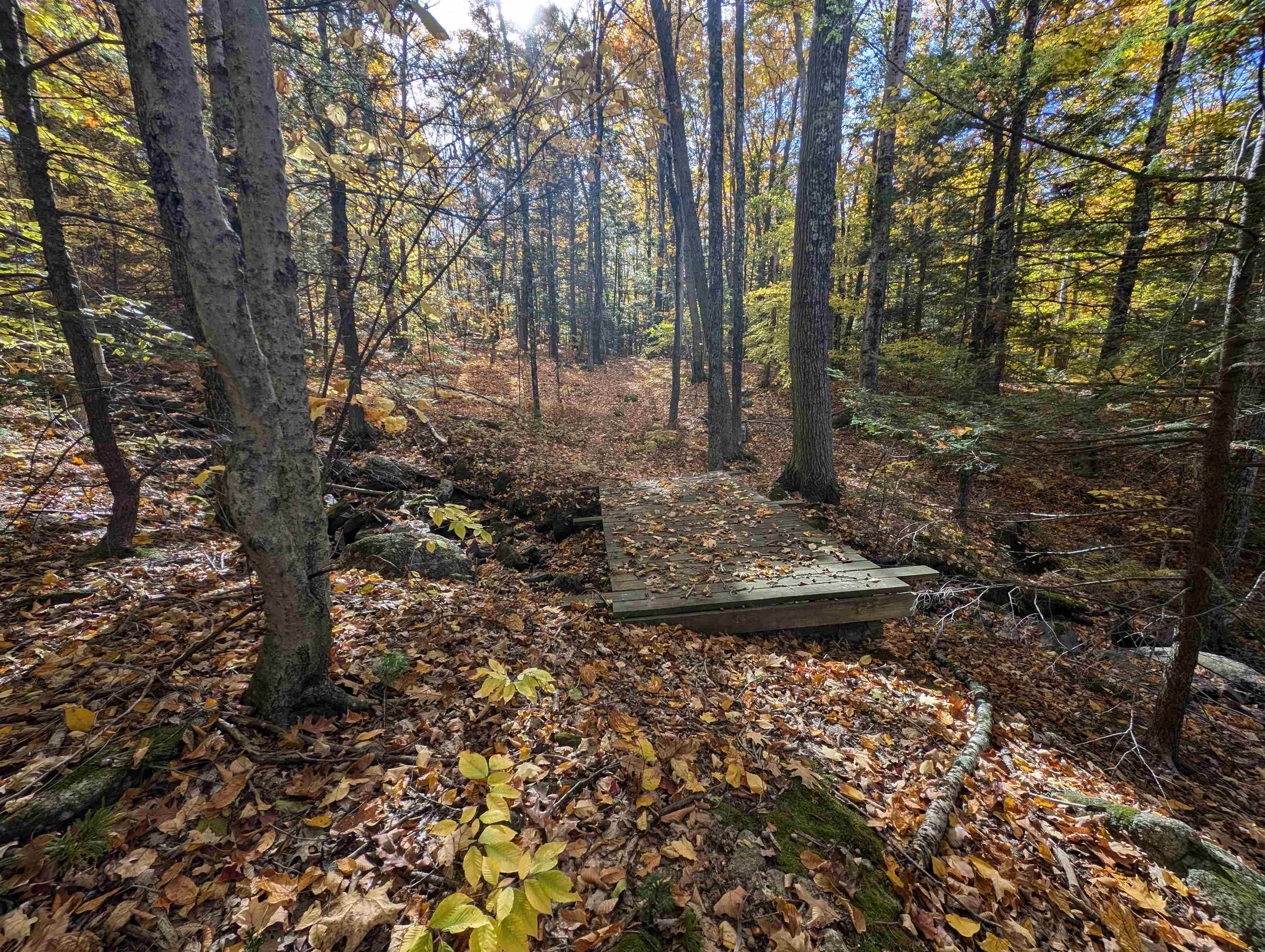main property photo 22