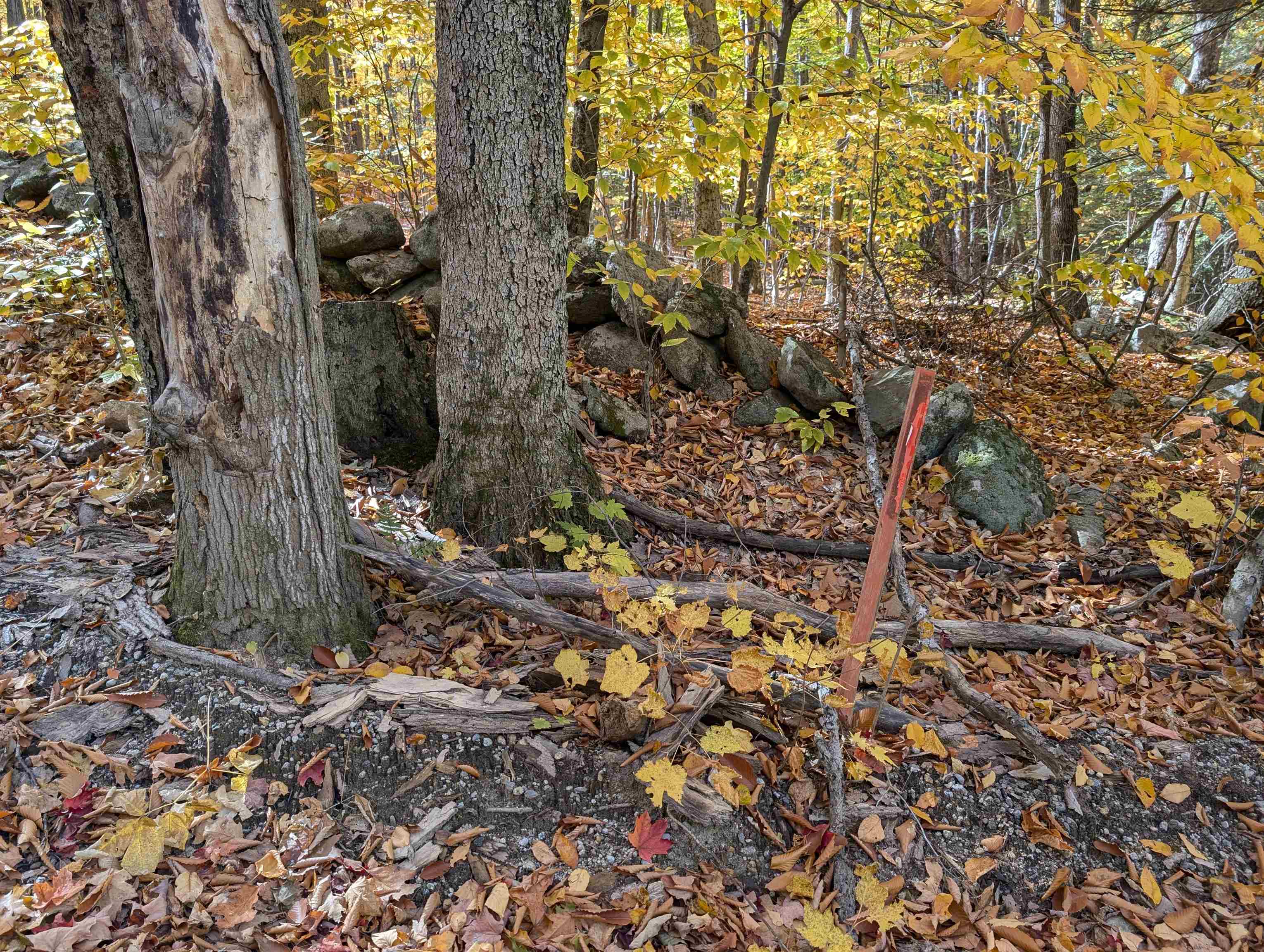 main property photo 23