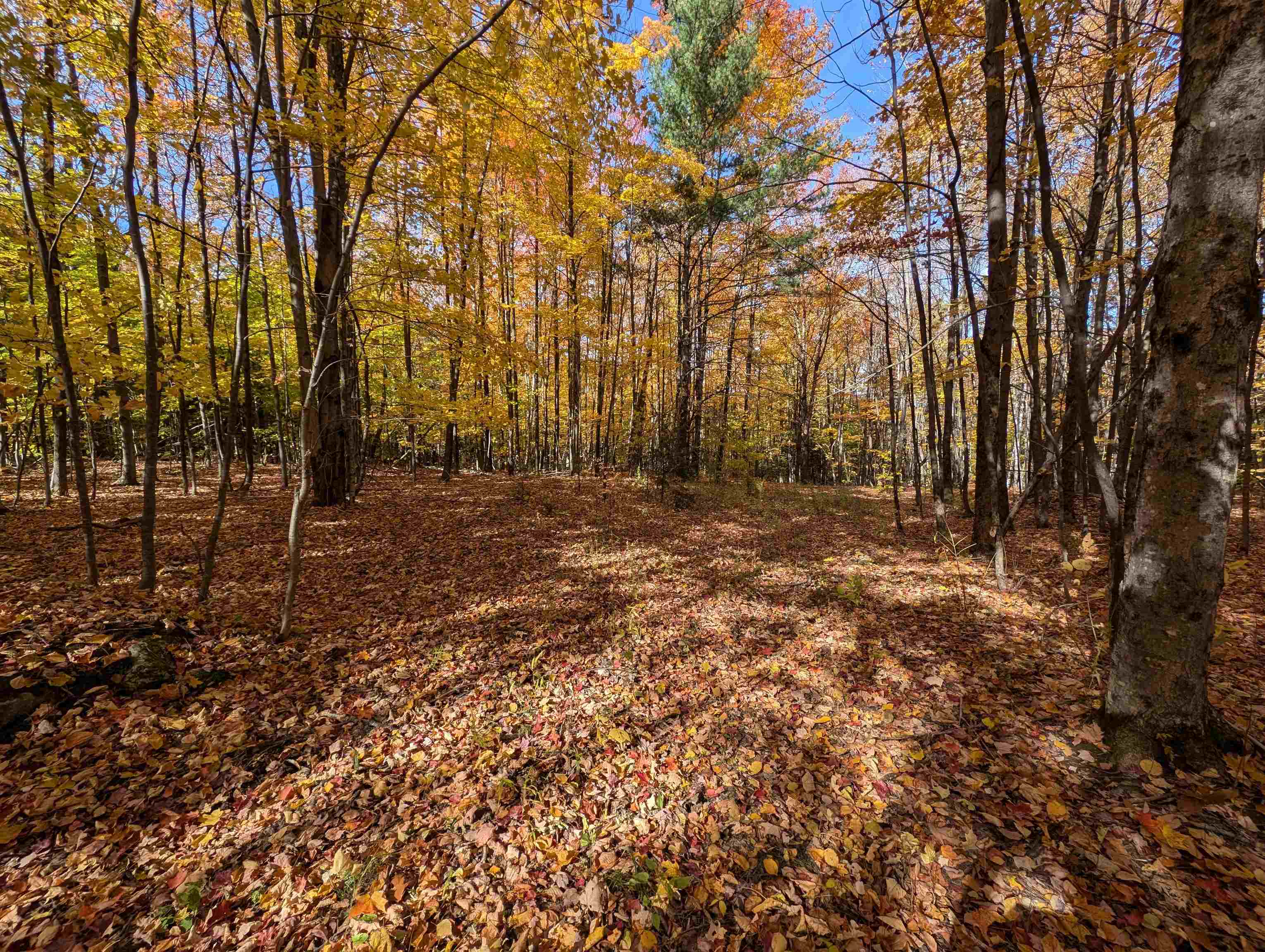 main property photo 8