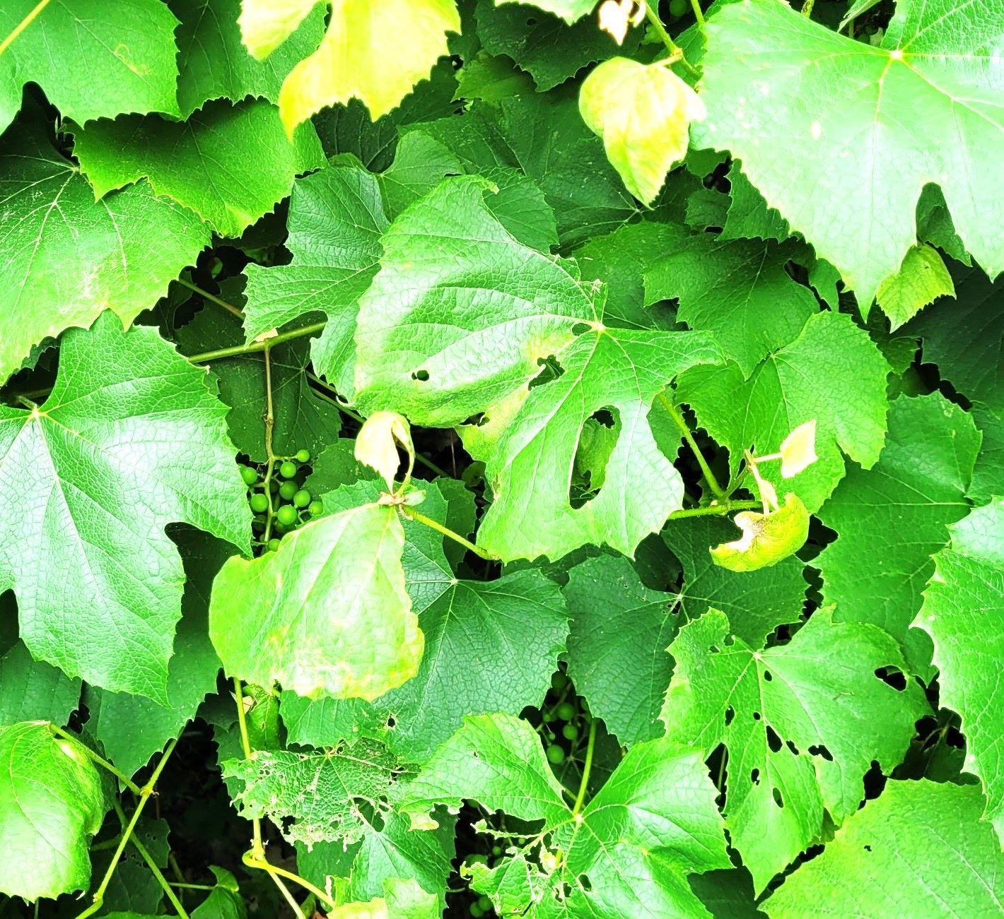 main property photo 15