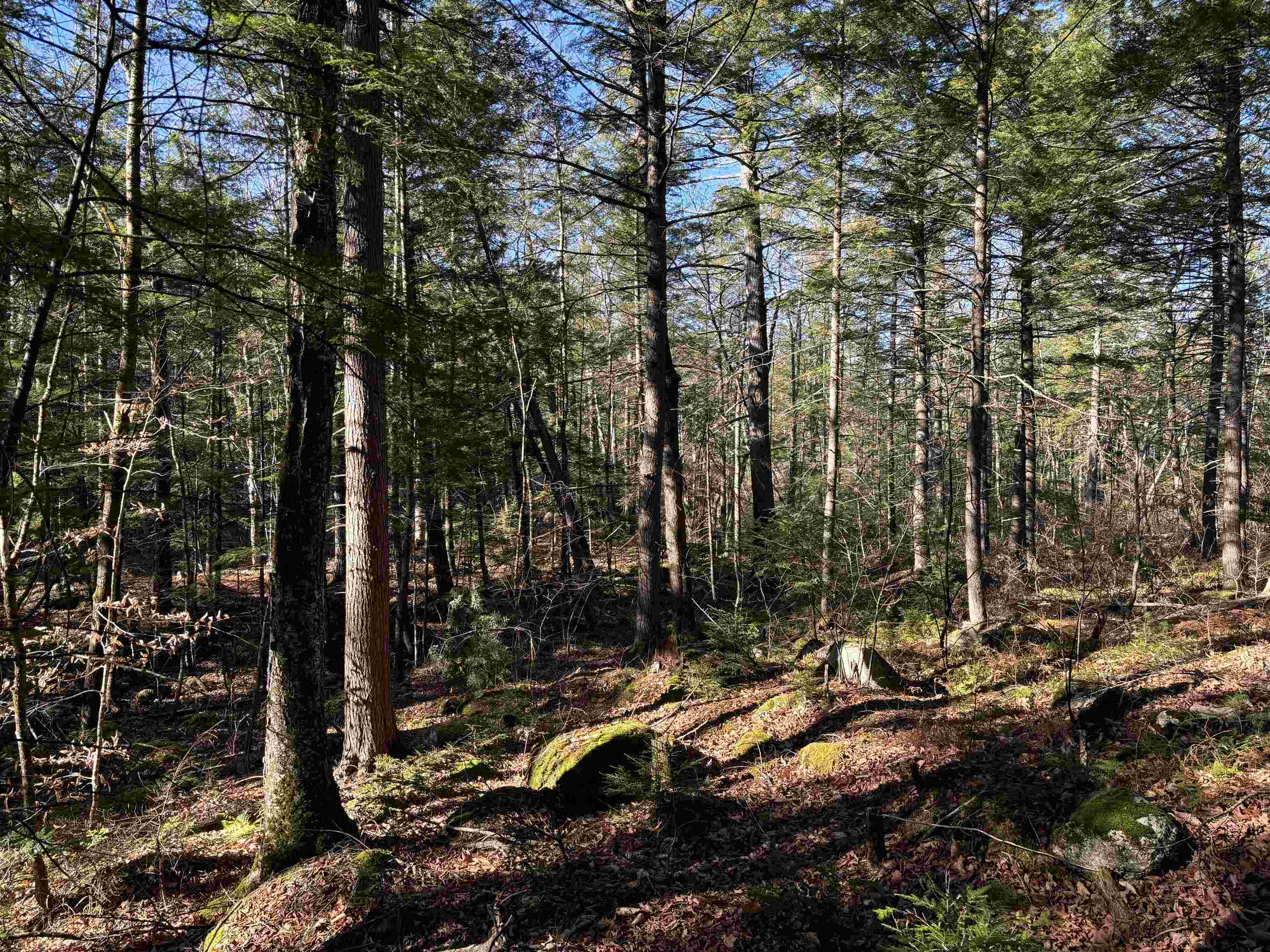 main property photo 4
