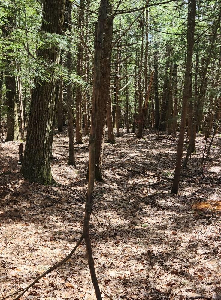 main property photo 43