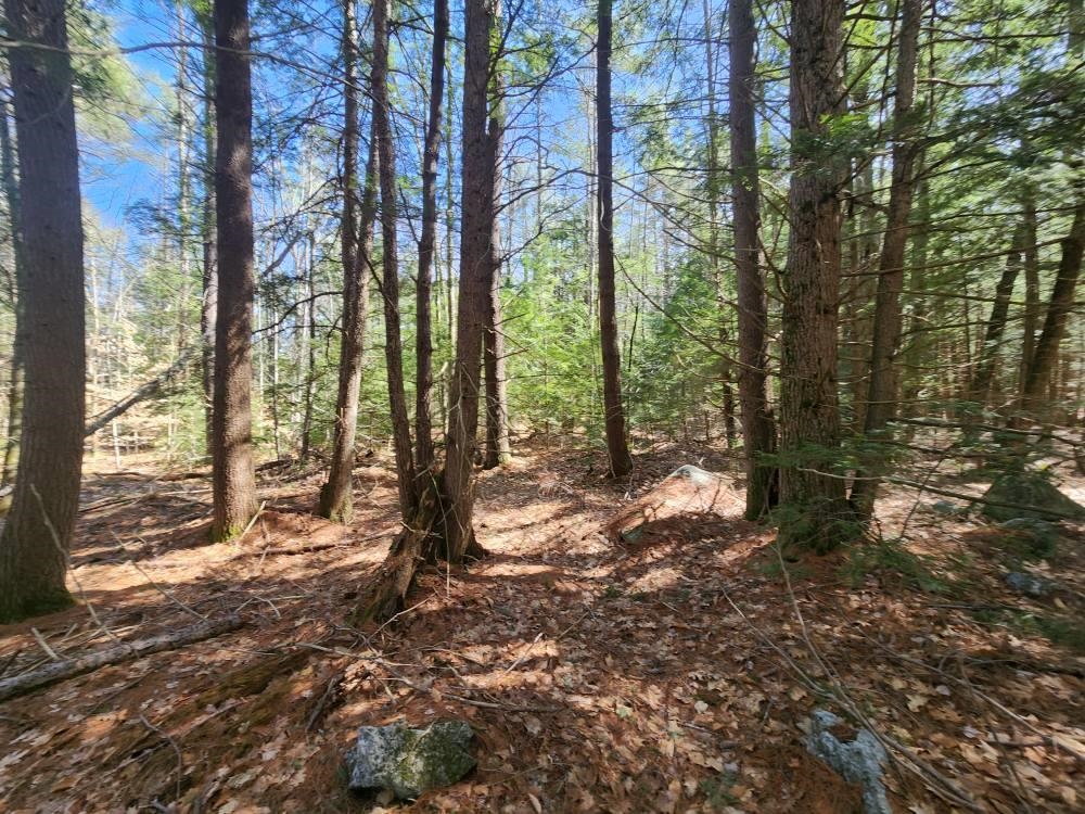 main property photo 46