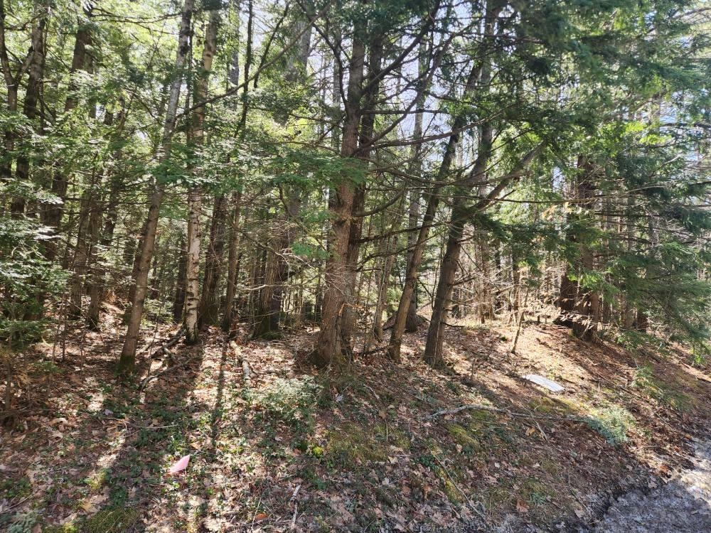 main property photo 41