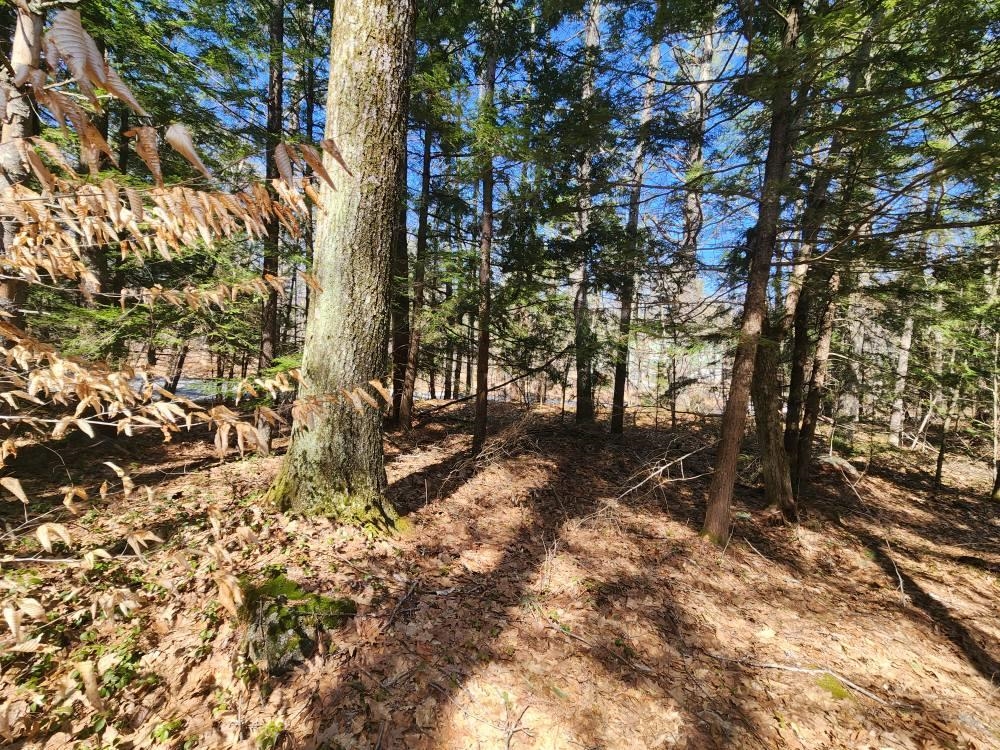 main property photo 42