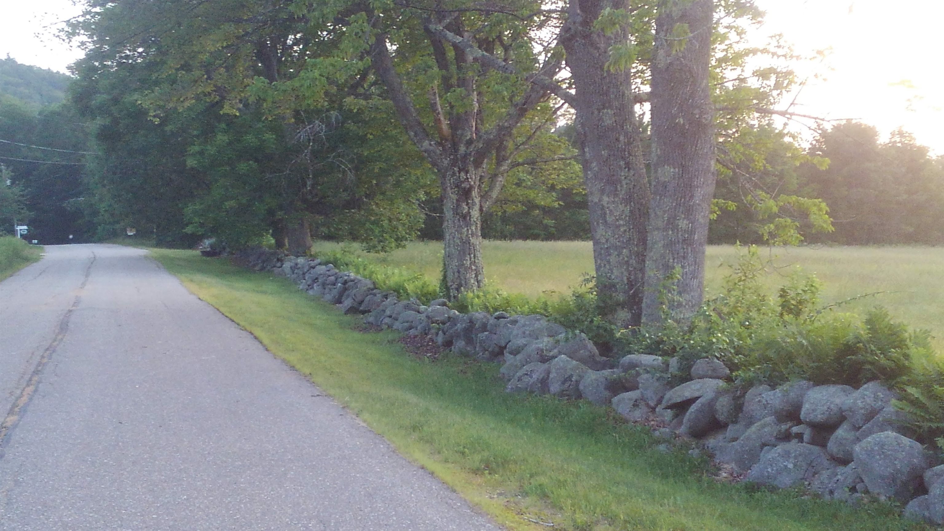 main property photo 22