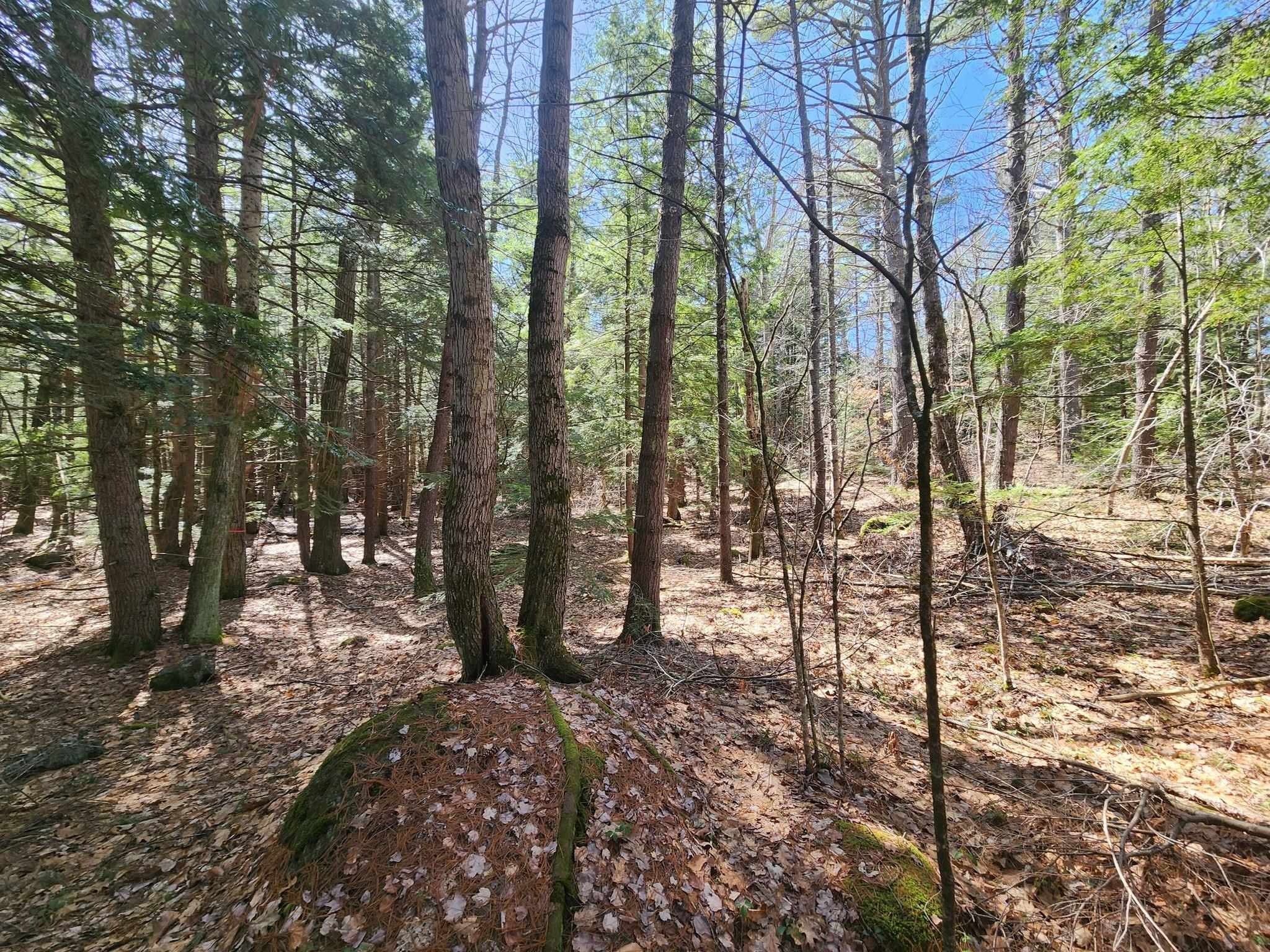 main property photo 50