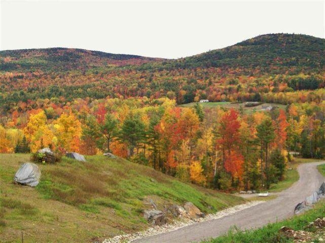 main property photo 13