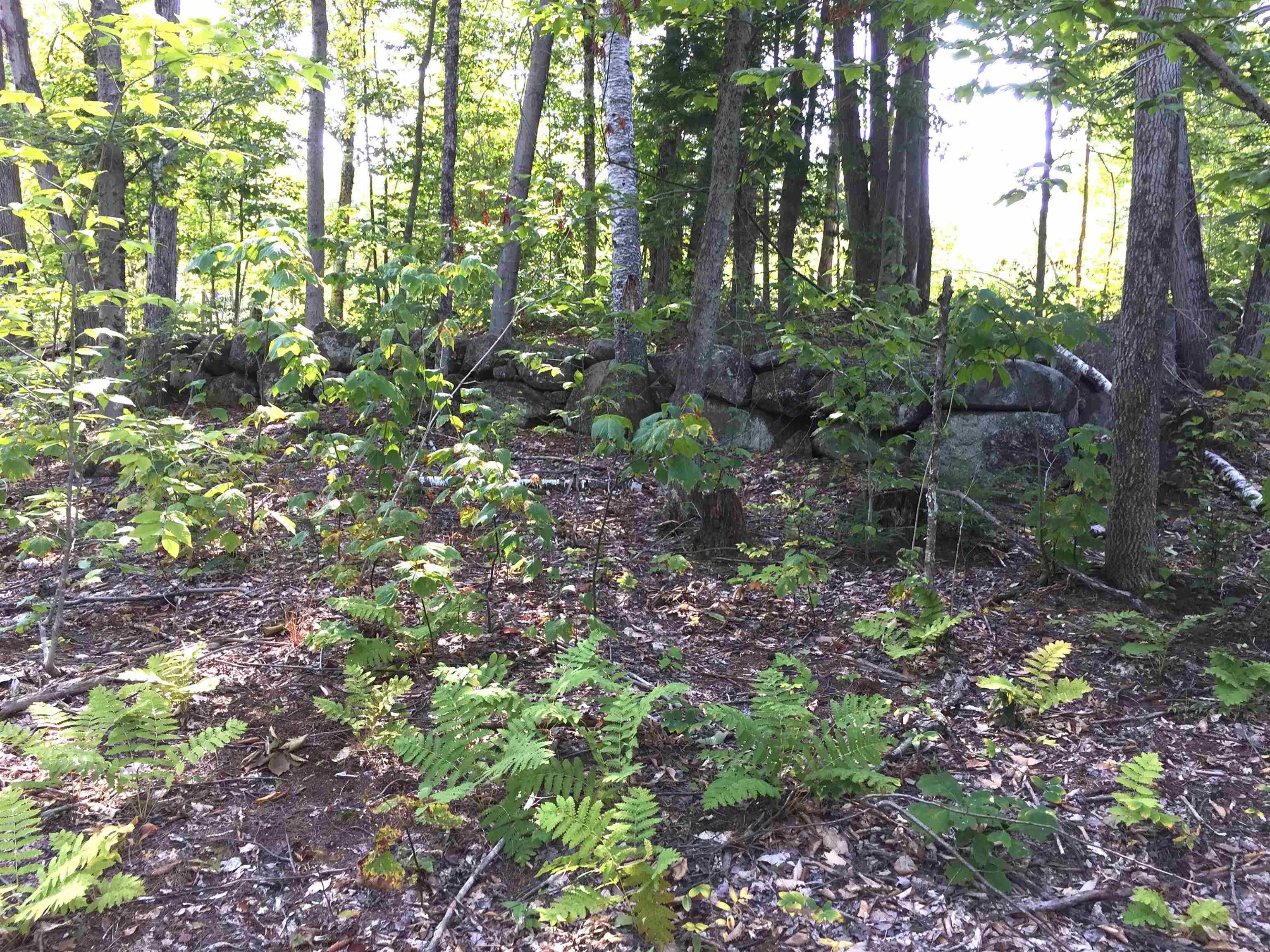 property viewer photo 17