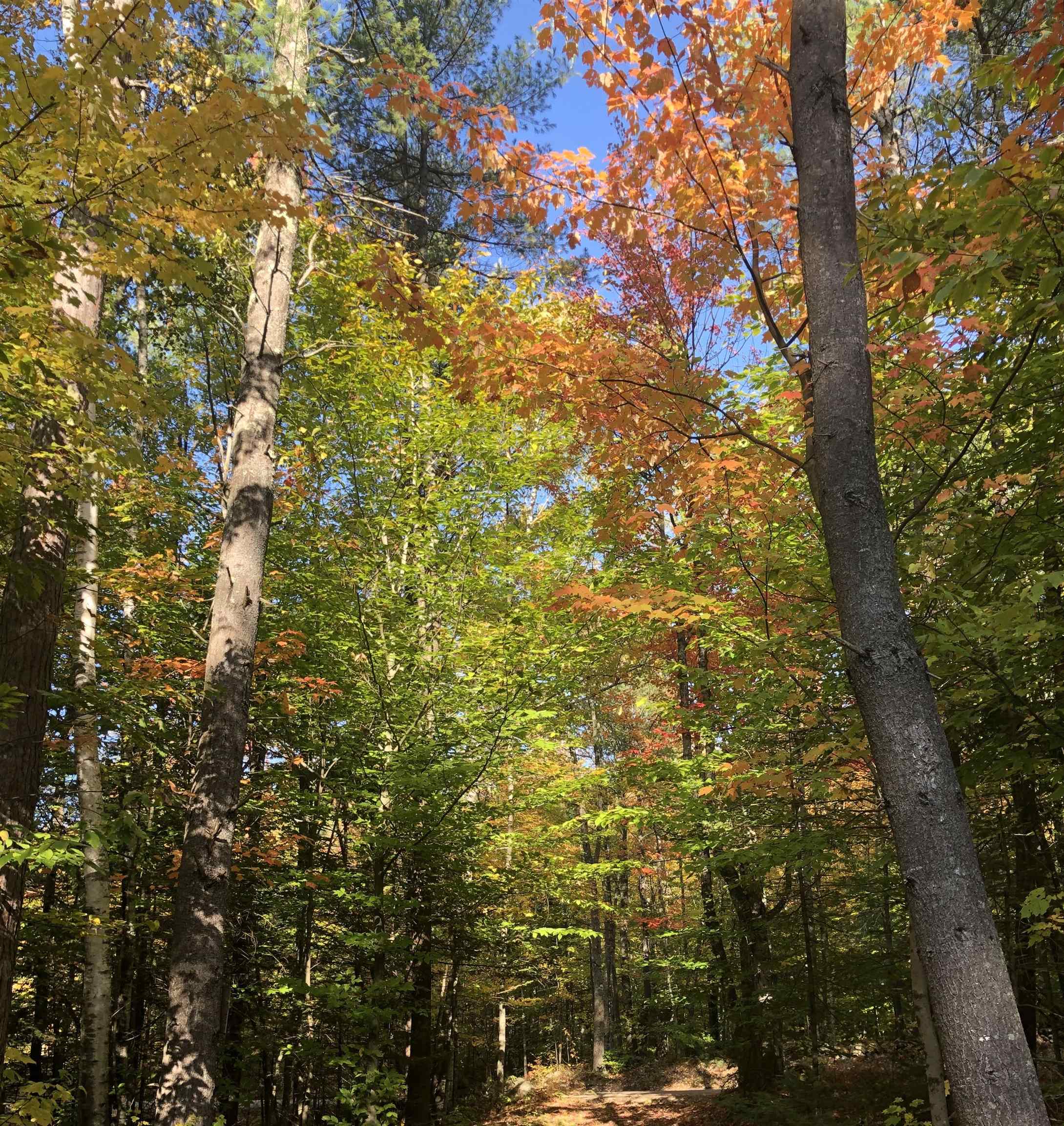 property viewer photo 20