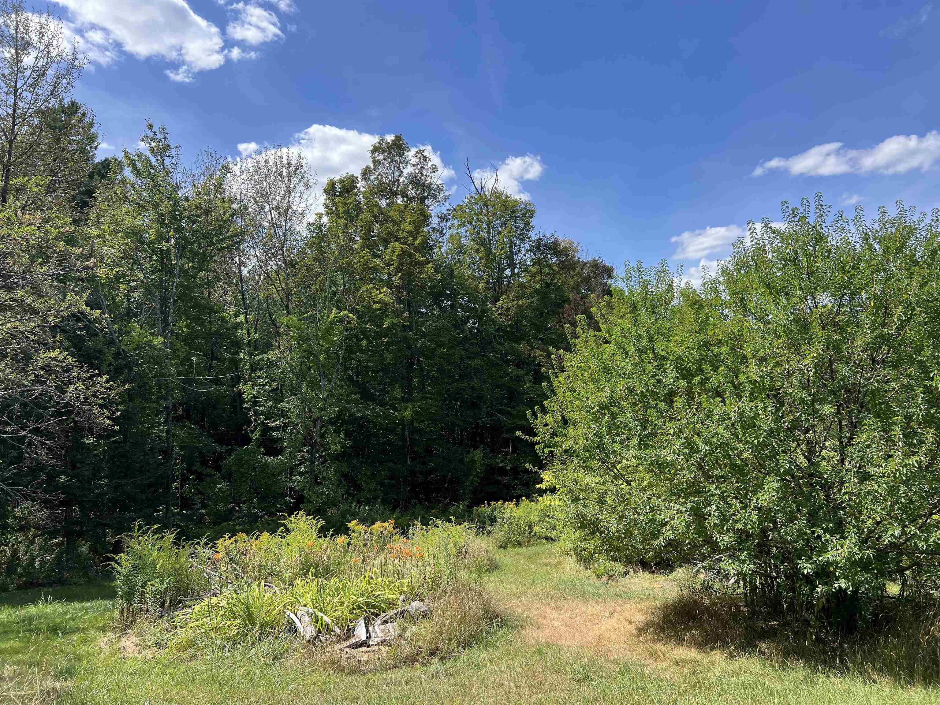 property viewer photo 3