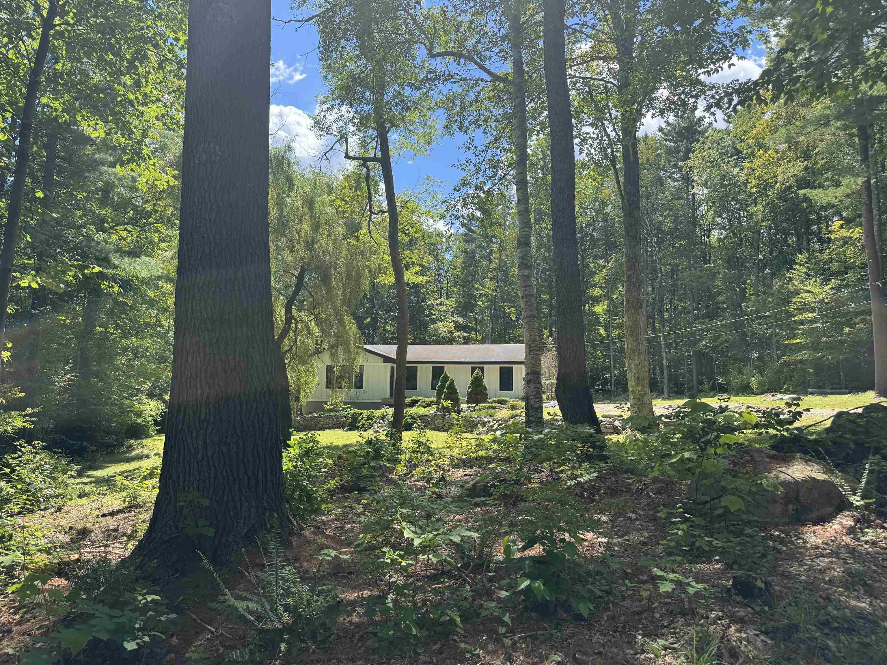 main property photo 55