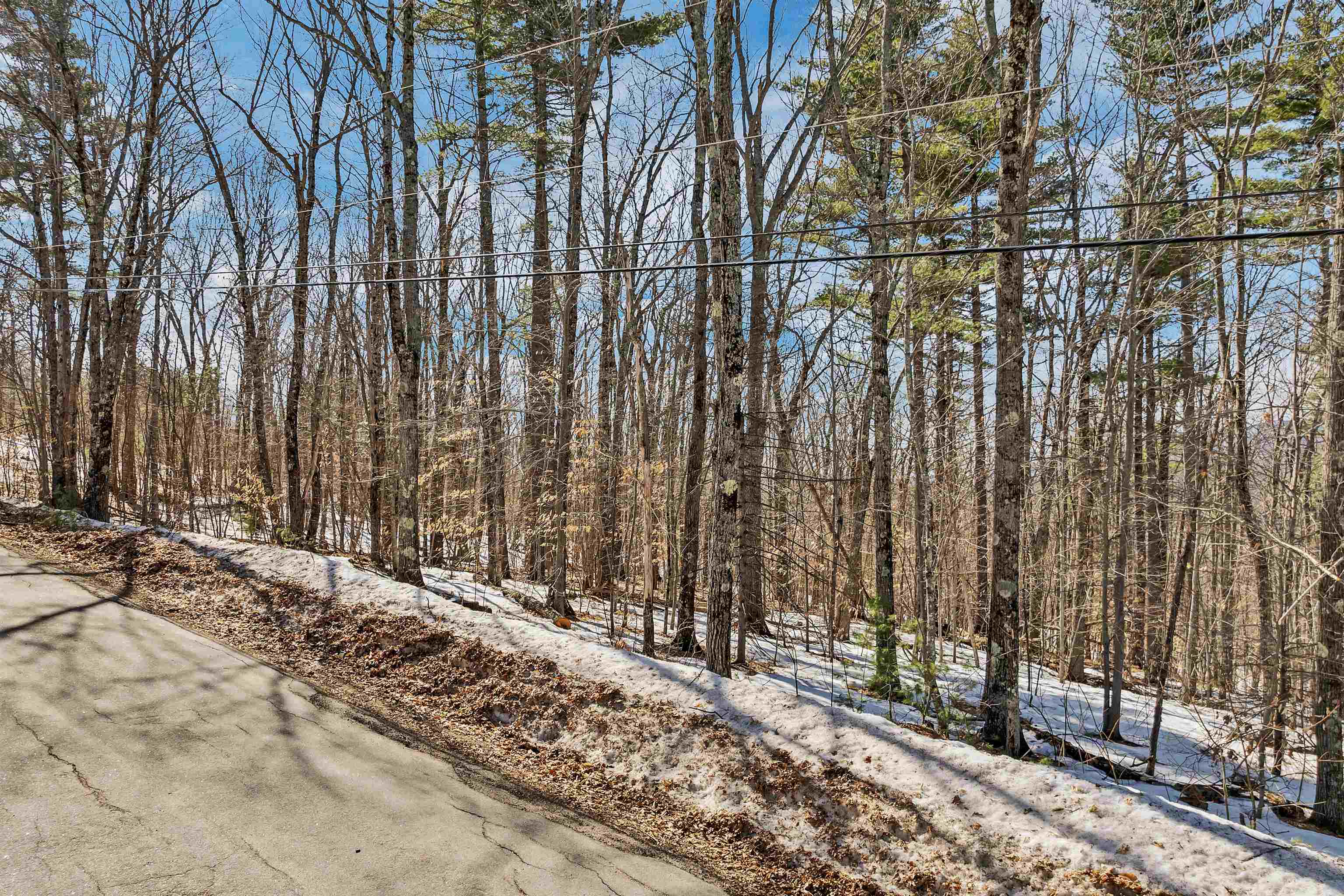 main property photo 36