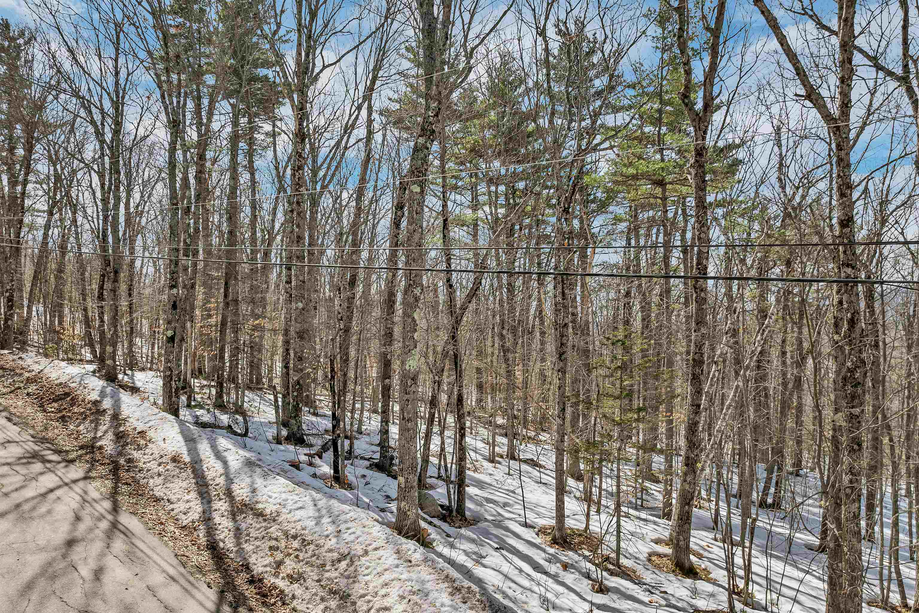 main property photo 44