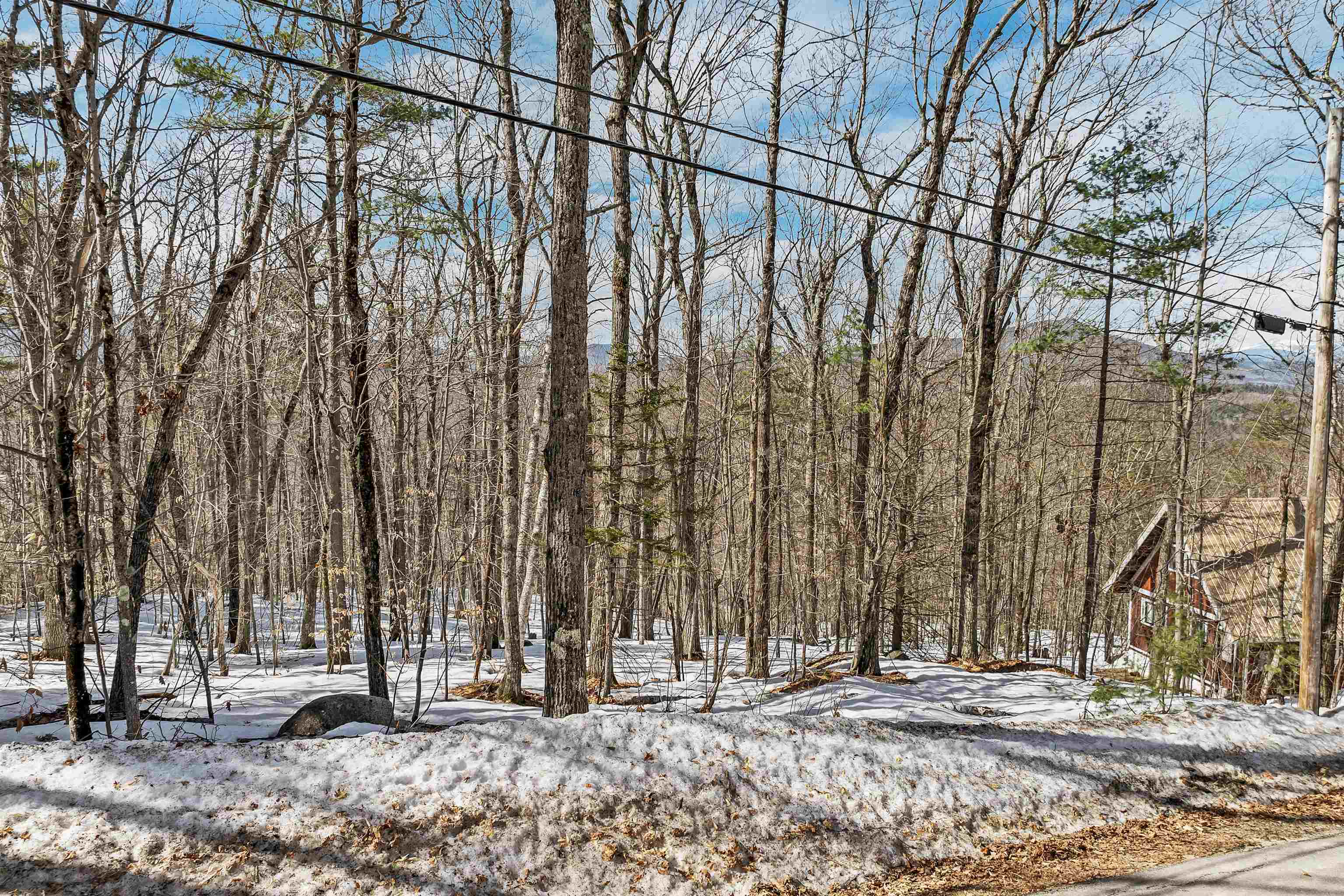 main property photo 49
