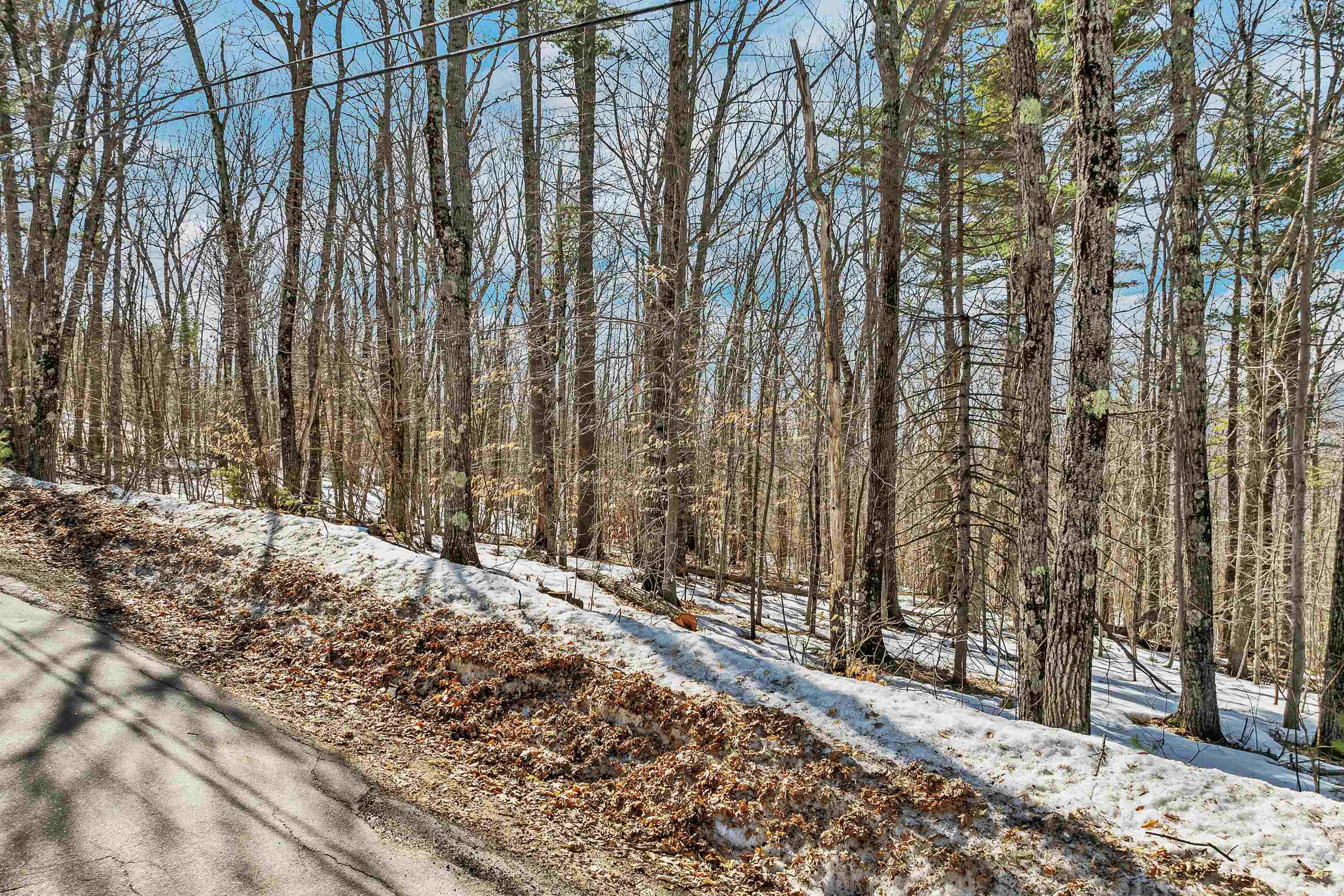 main property photo 50