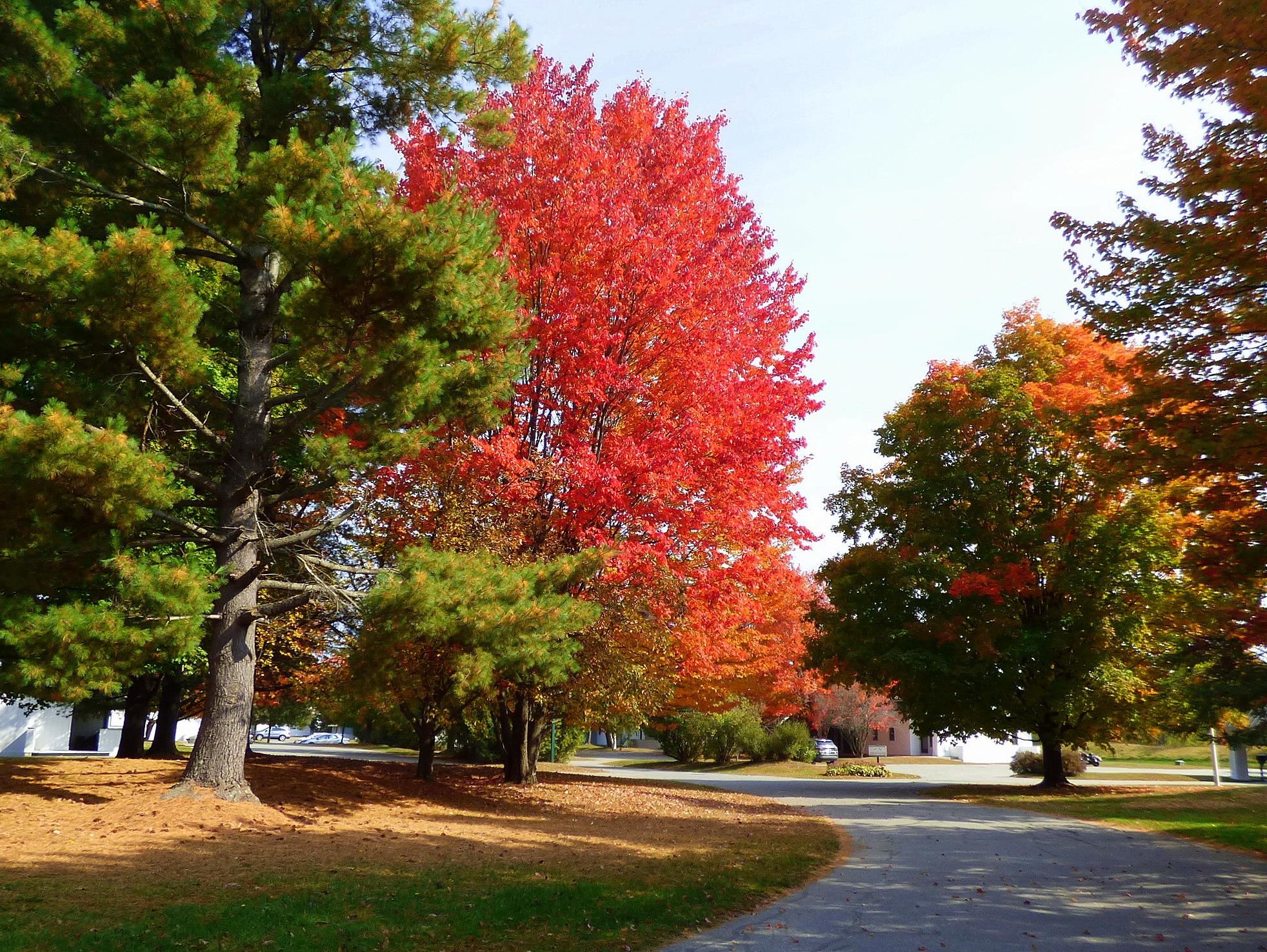property viewer photo 52