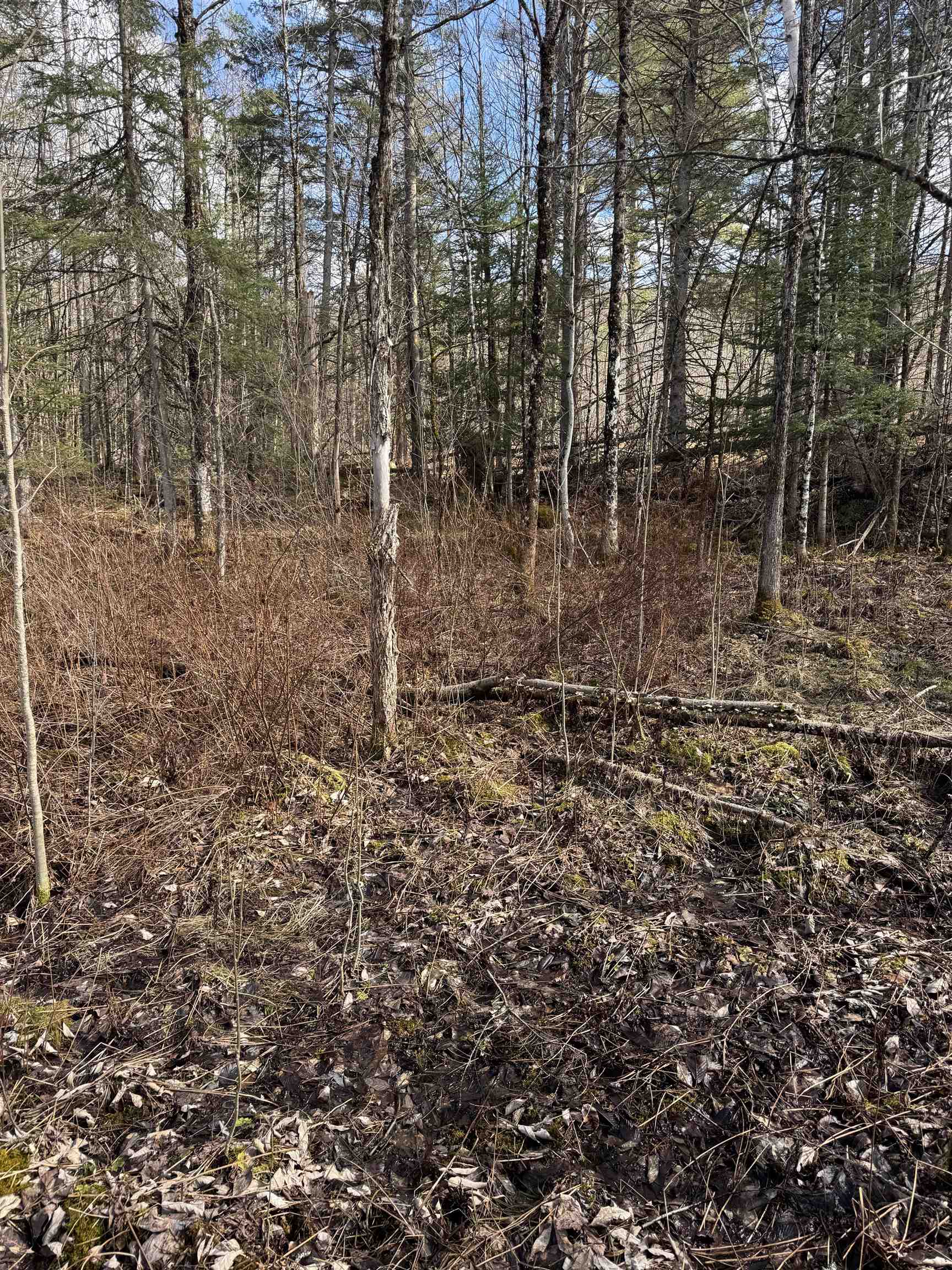 main property photo 12