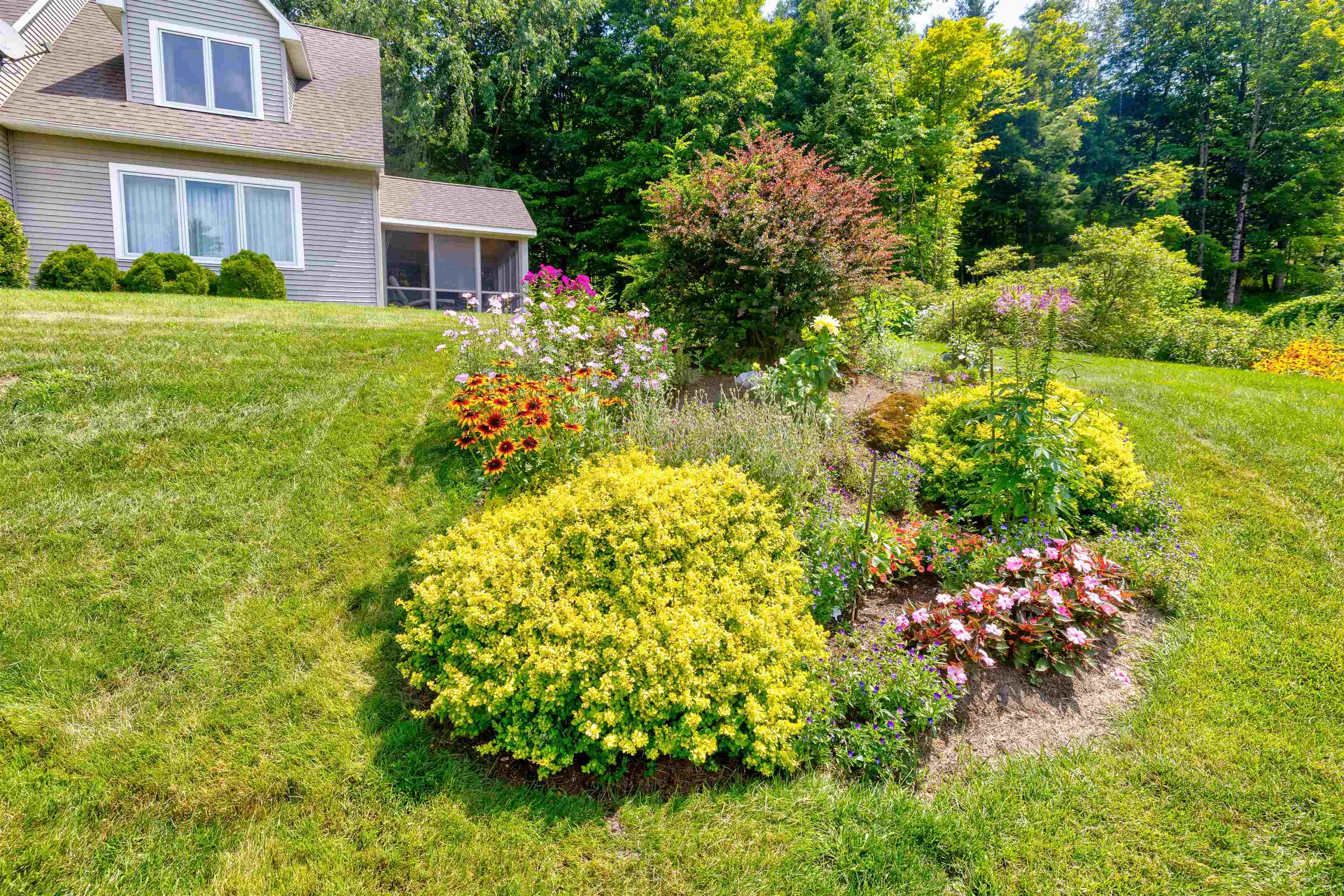 property viewer photo 56