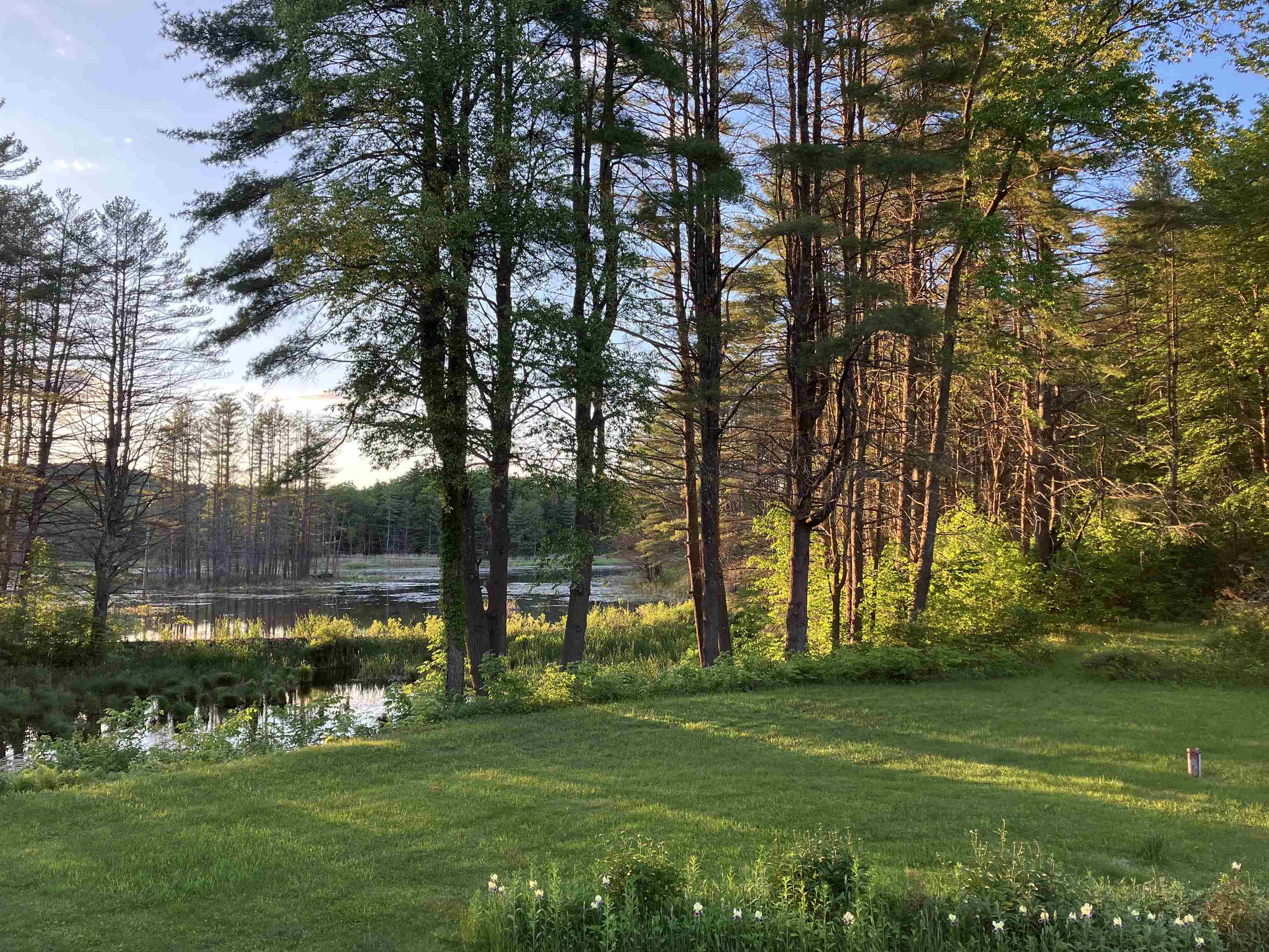 main property photo 37