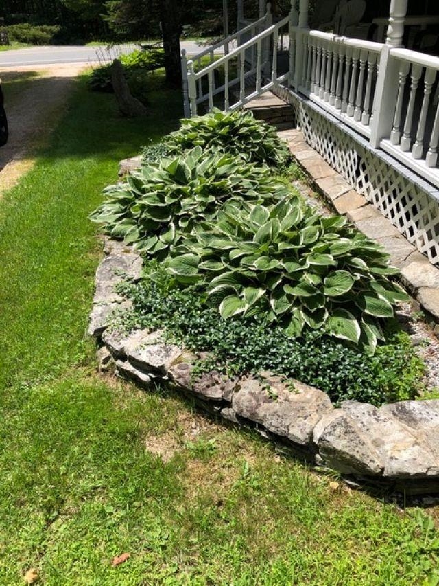 main property photo 56