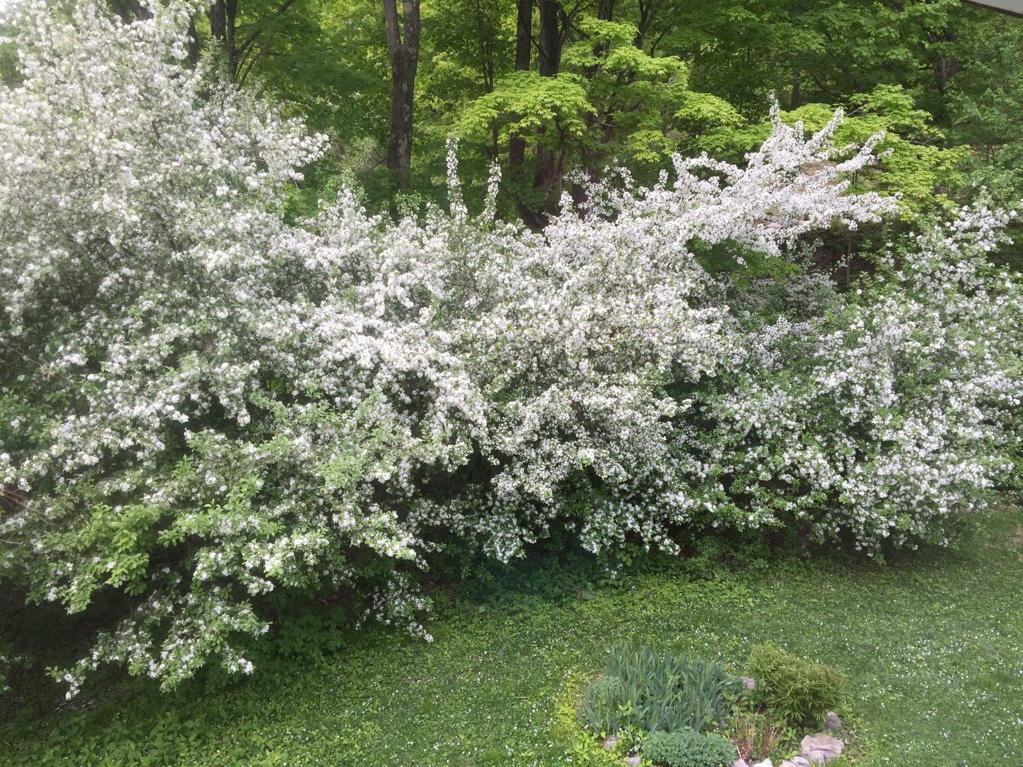 main property photo 57