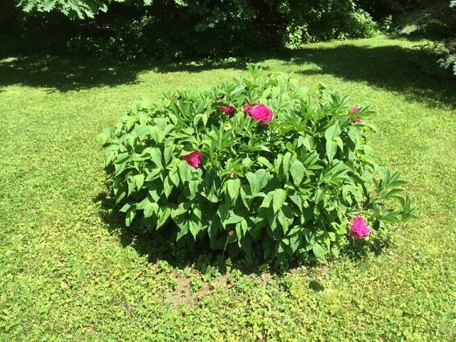 main property photo 58