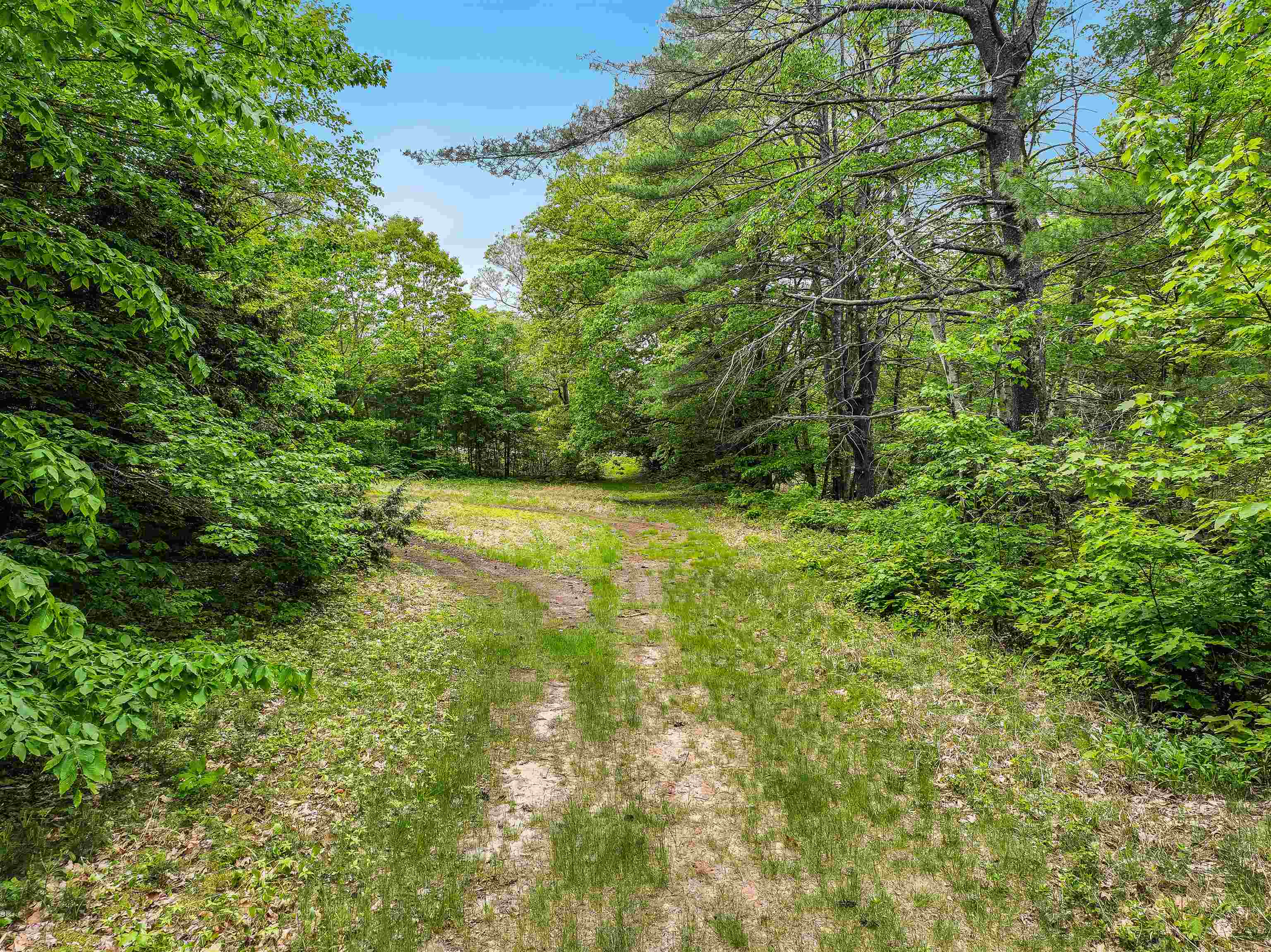 main property photo 51