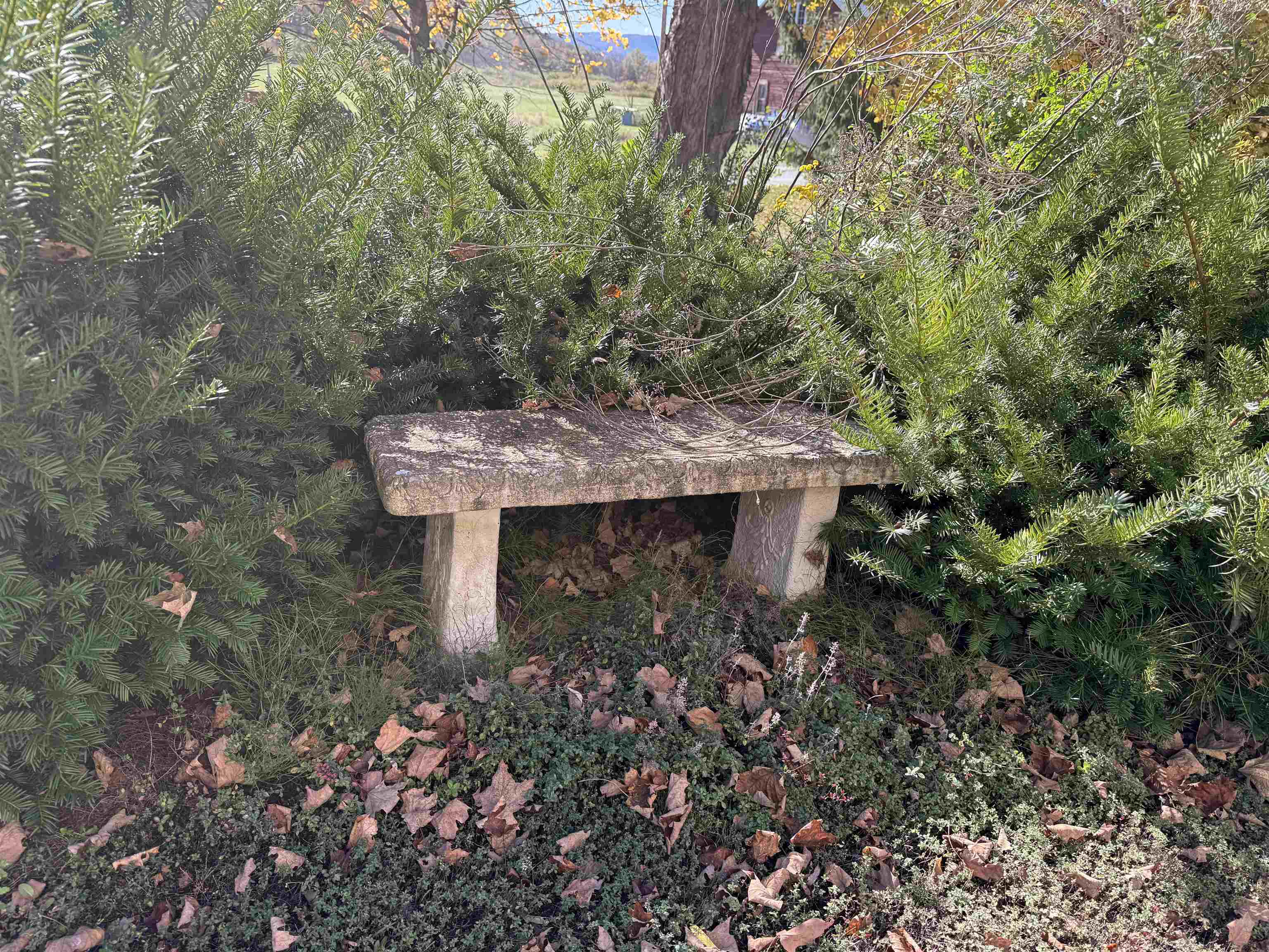 main property photo 46