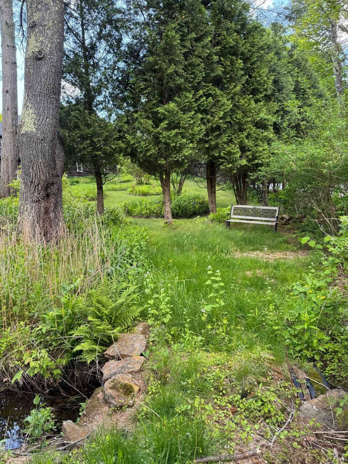 main property photo 45