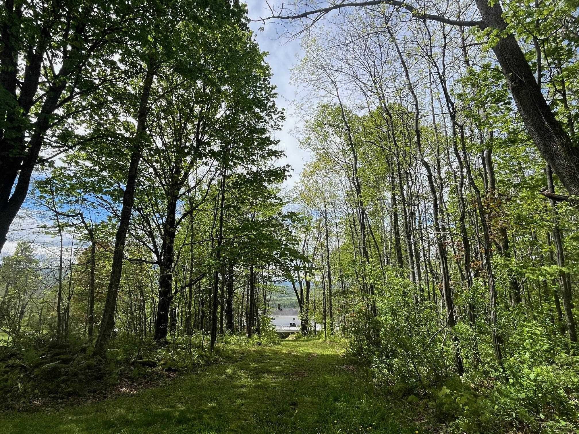 main property photo 56