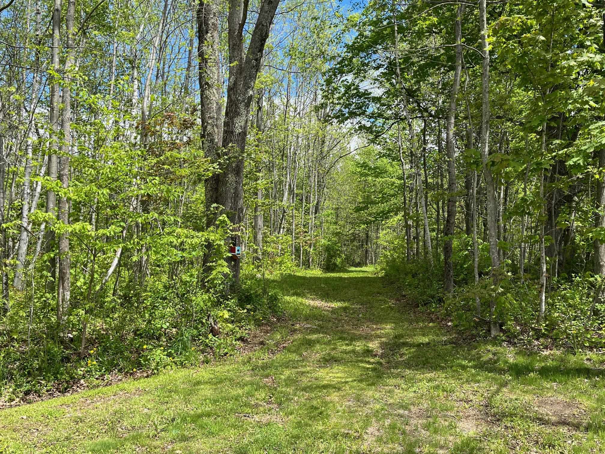 main property photo 57