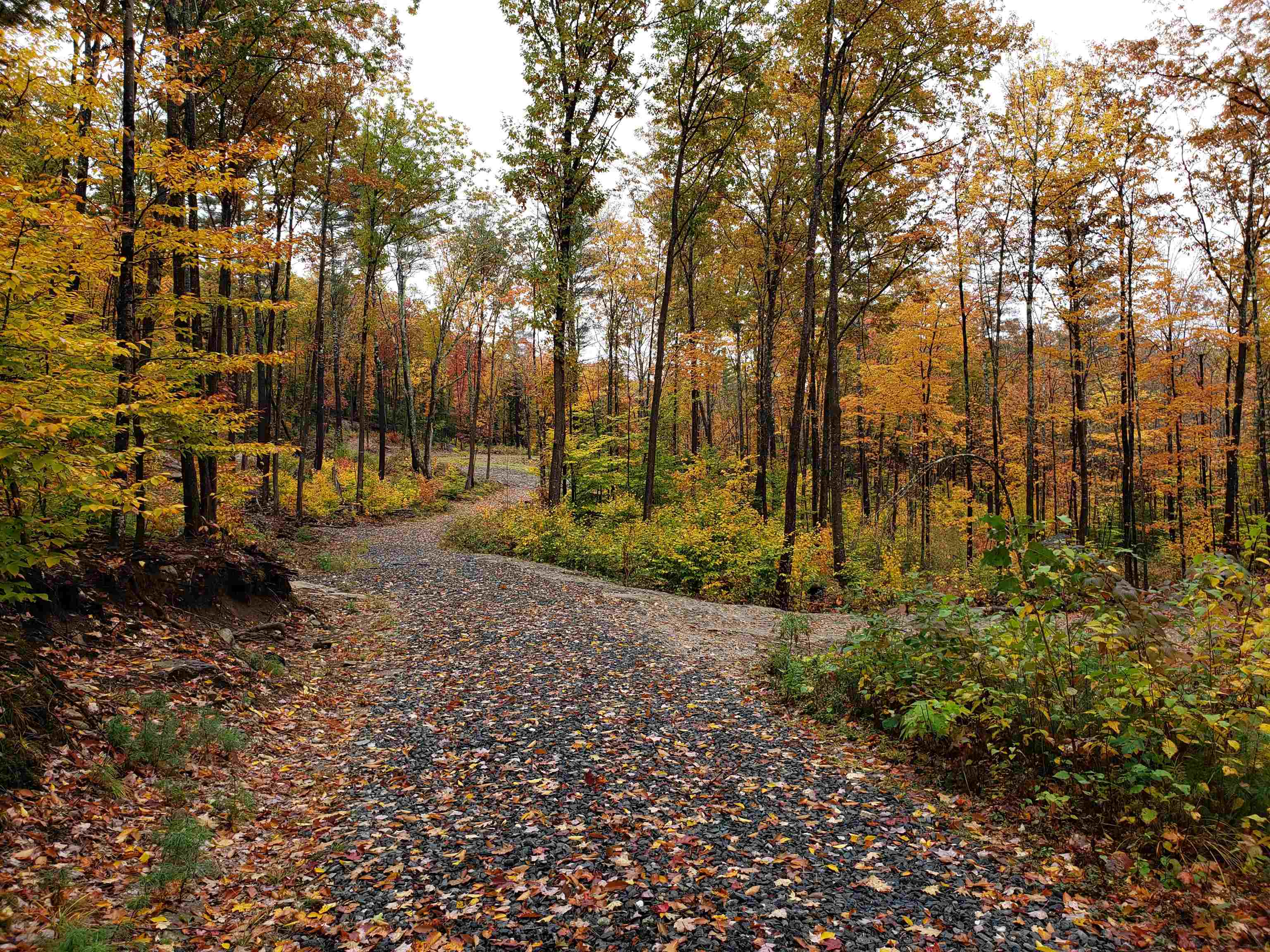 property viewer photo 18