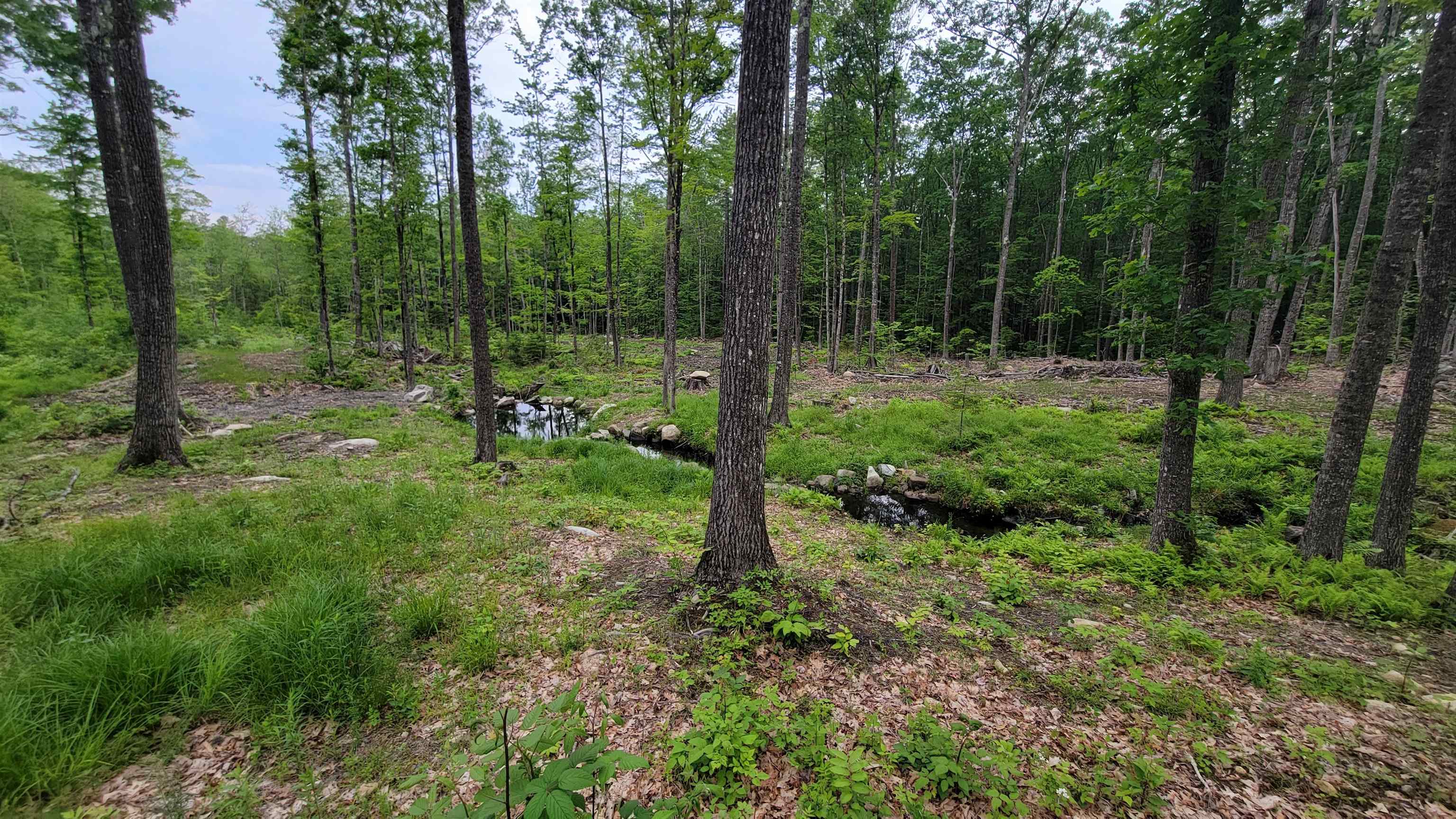 property viewer photo 7