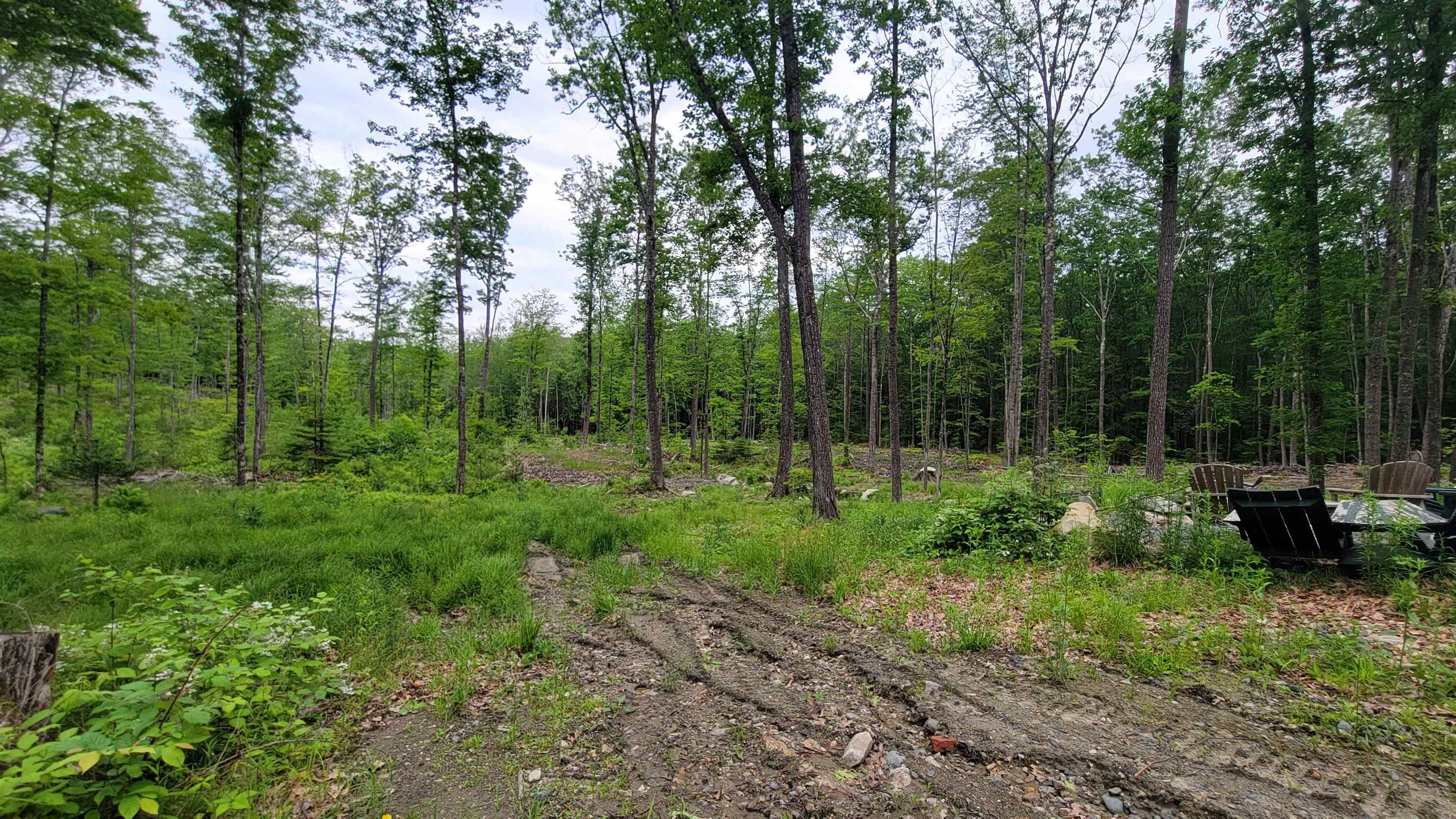 property viewer photo 8