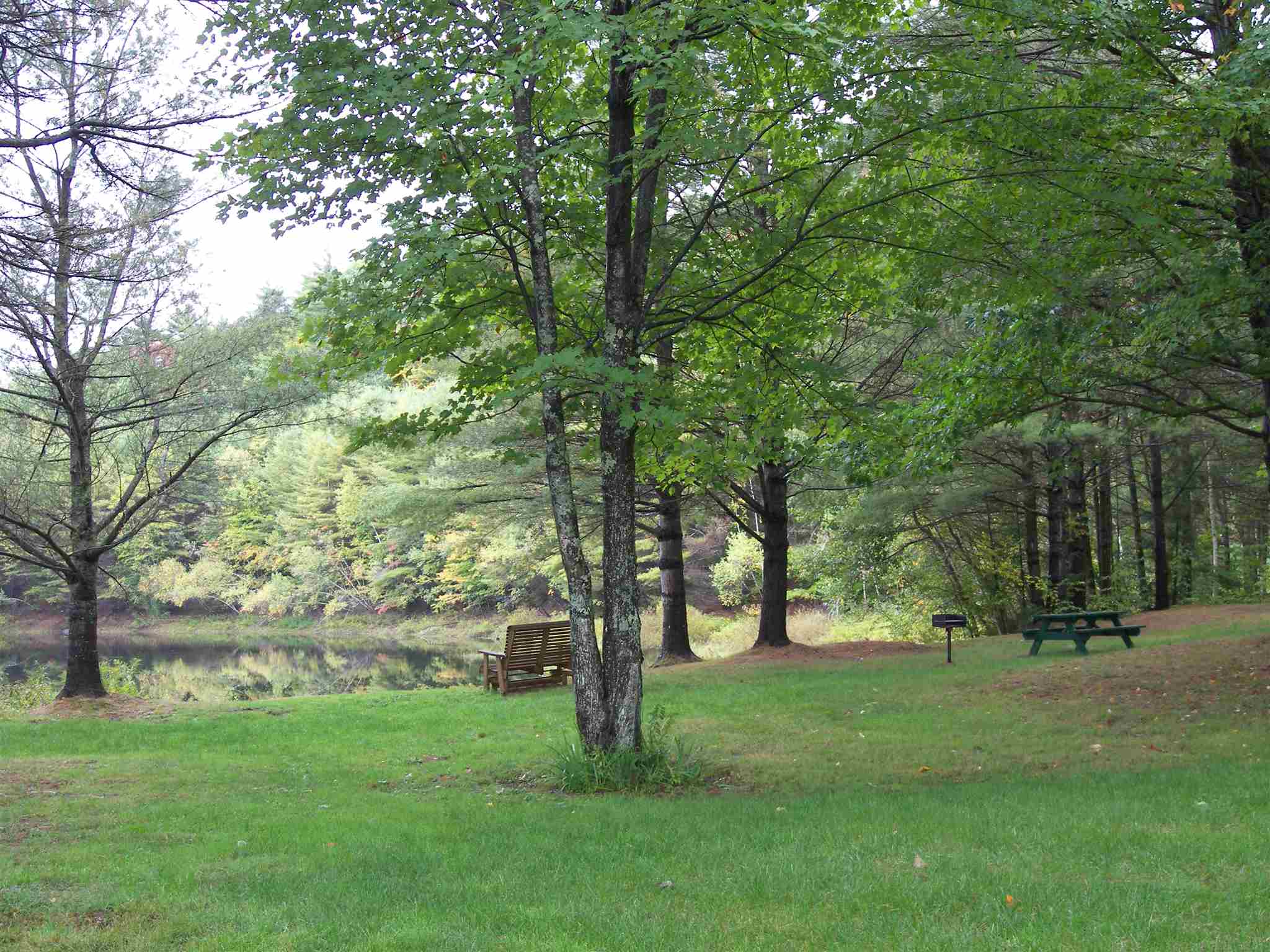 main property photo 57