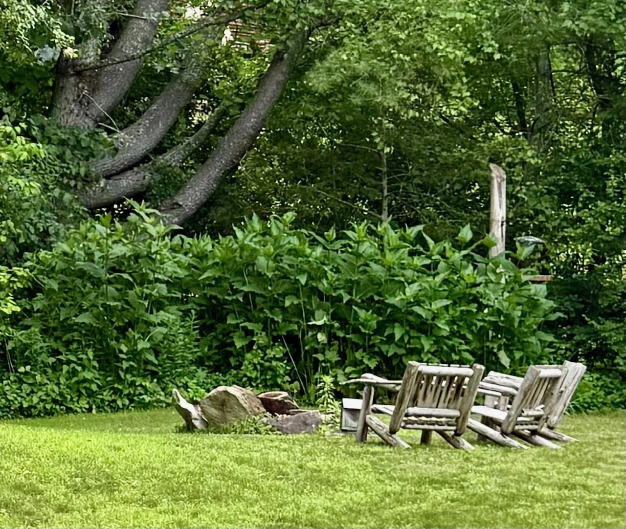 property viewer photo 30