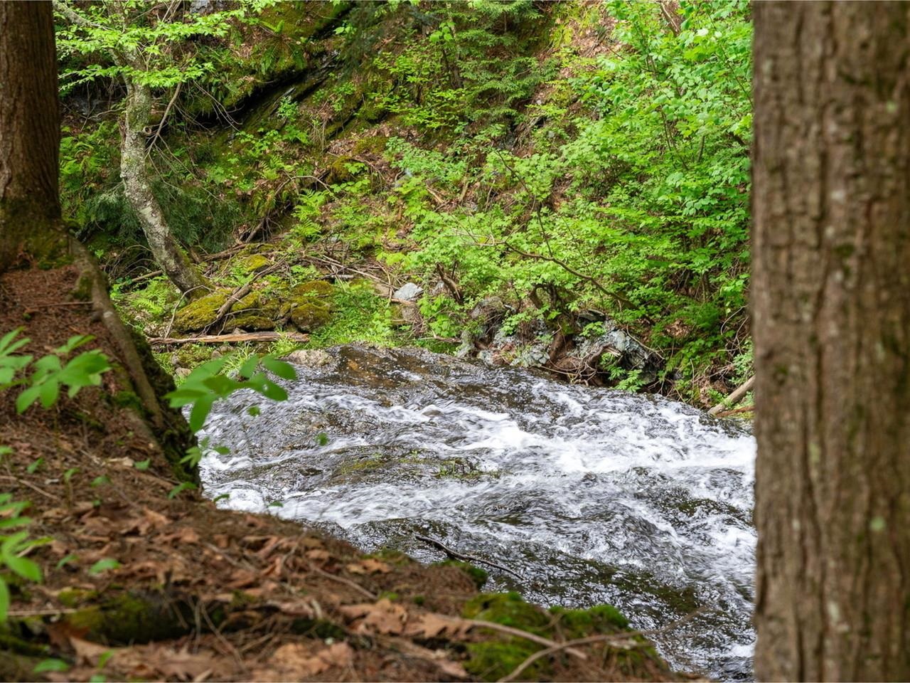 main property photo 54
