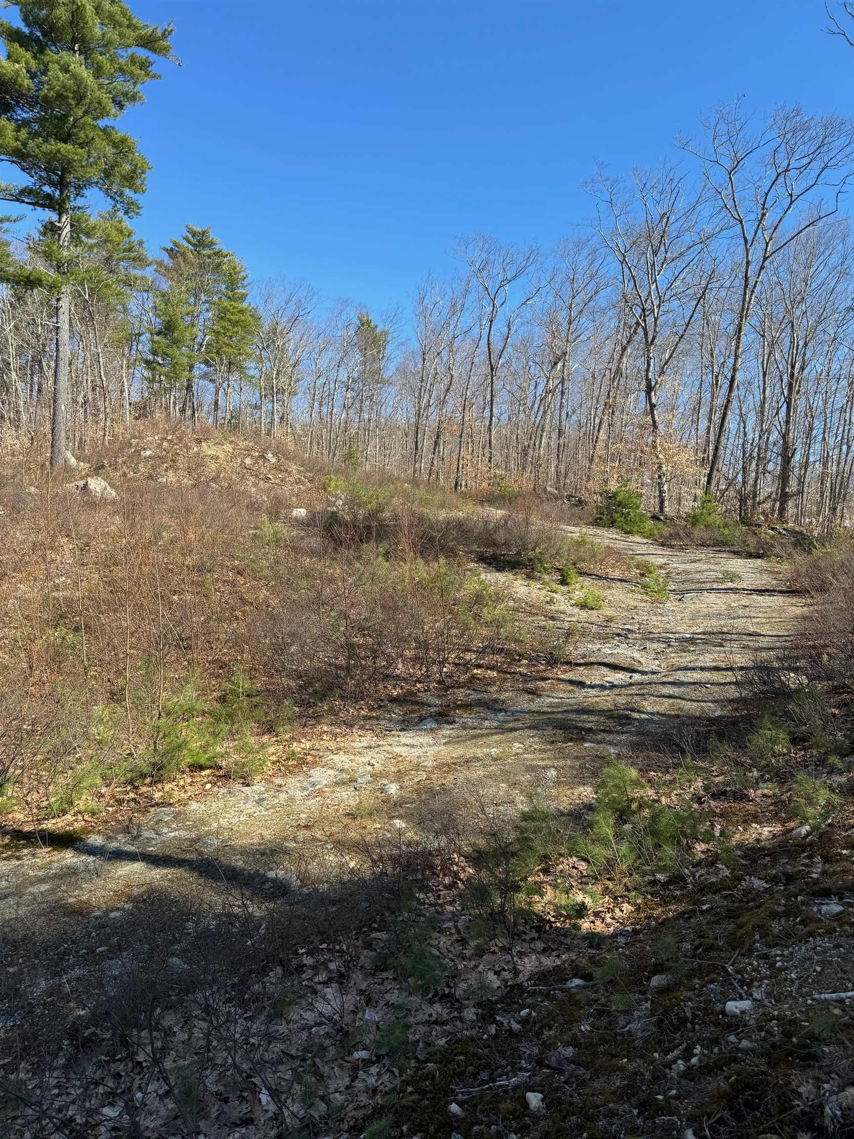 main property photo 10