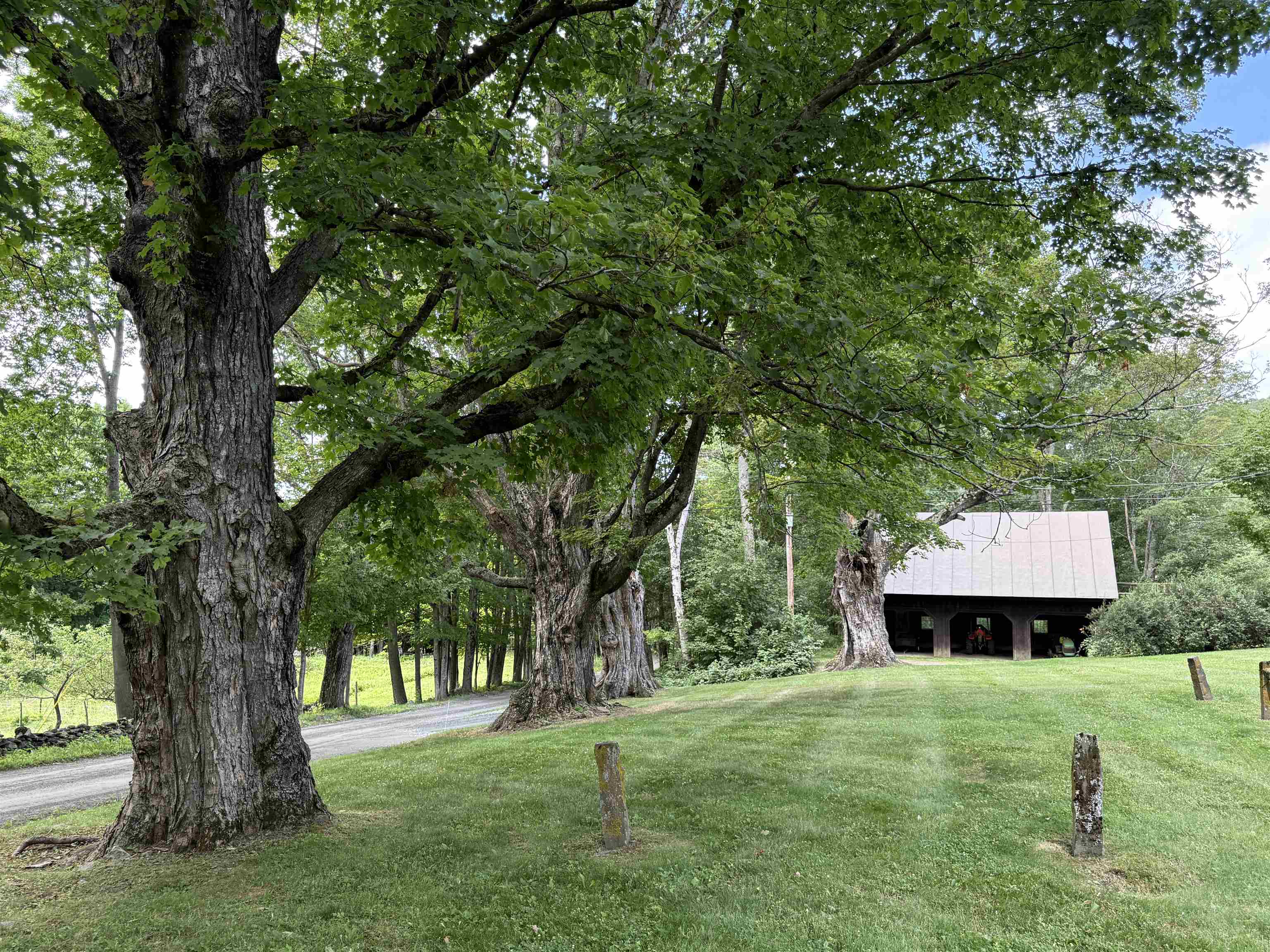 main property photo 13