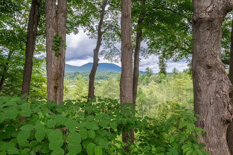 property viewer photo 34